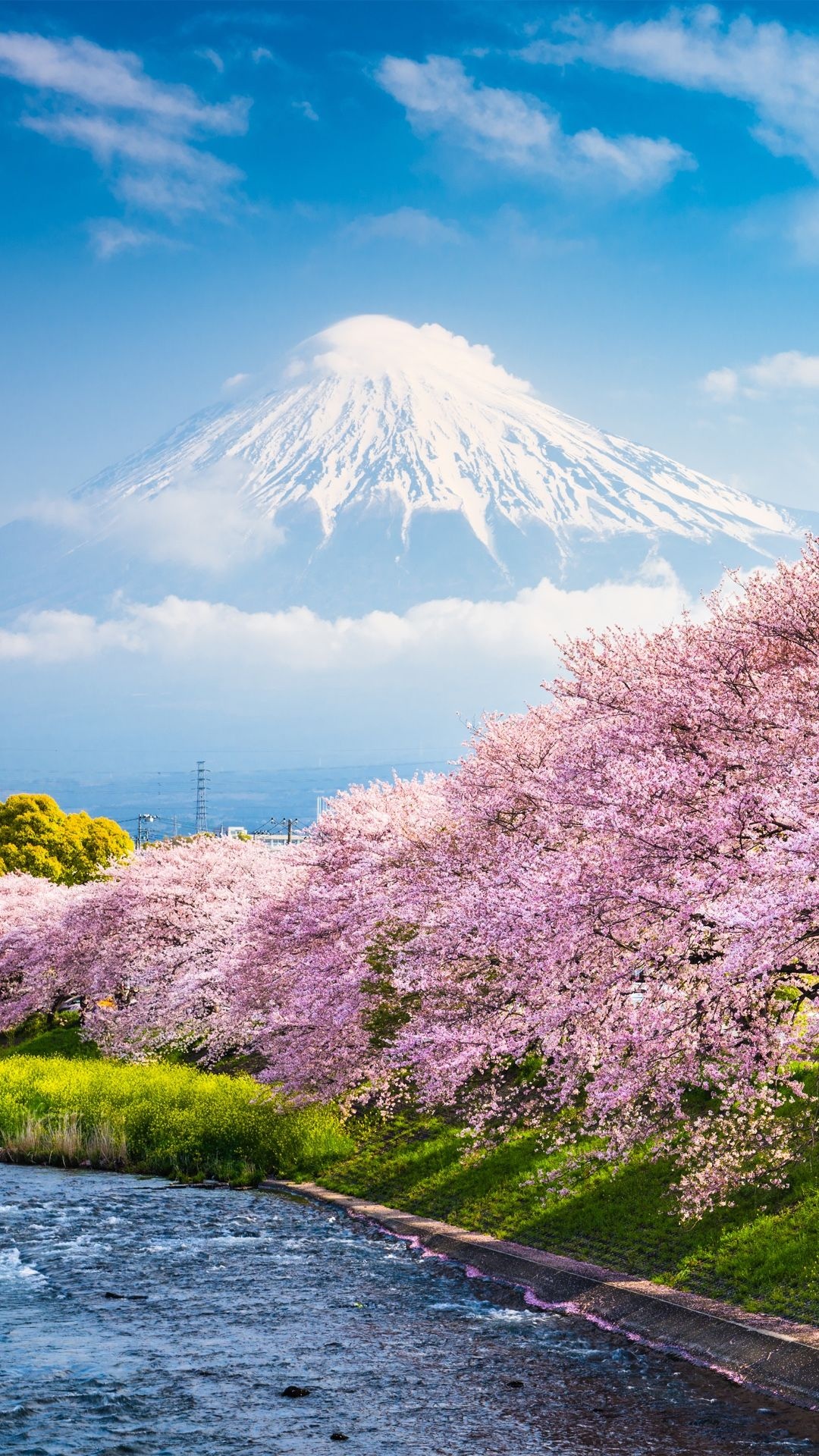 Mount Fuji, Japan, Travels, Spring wallpaper, 1080x1920 Full HD Phone