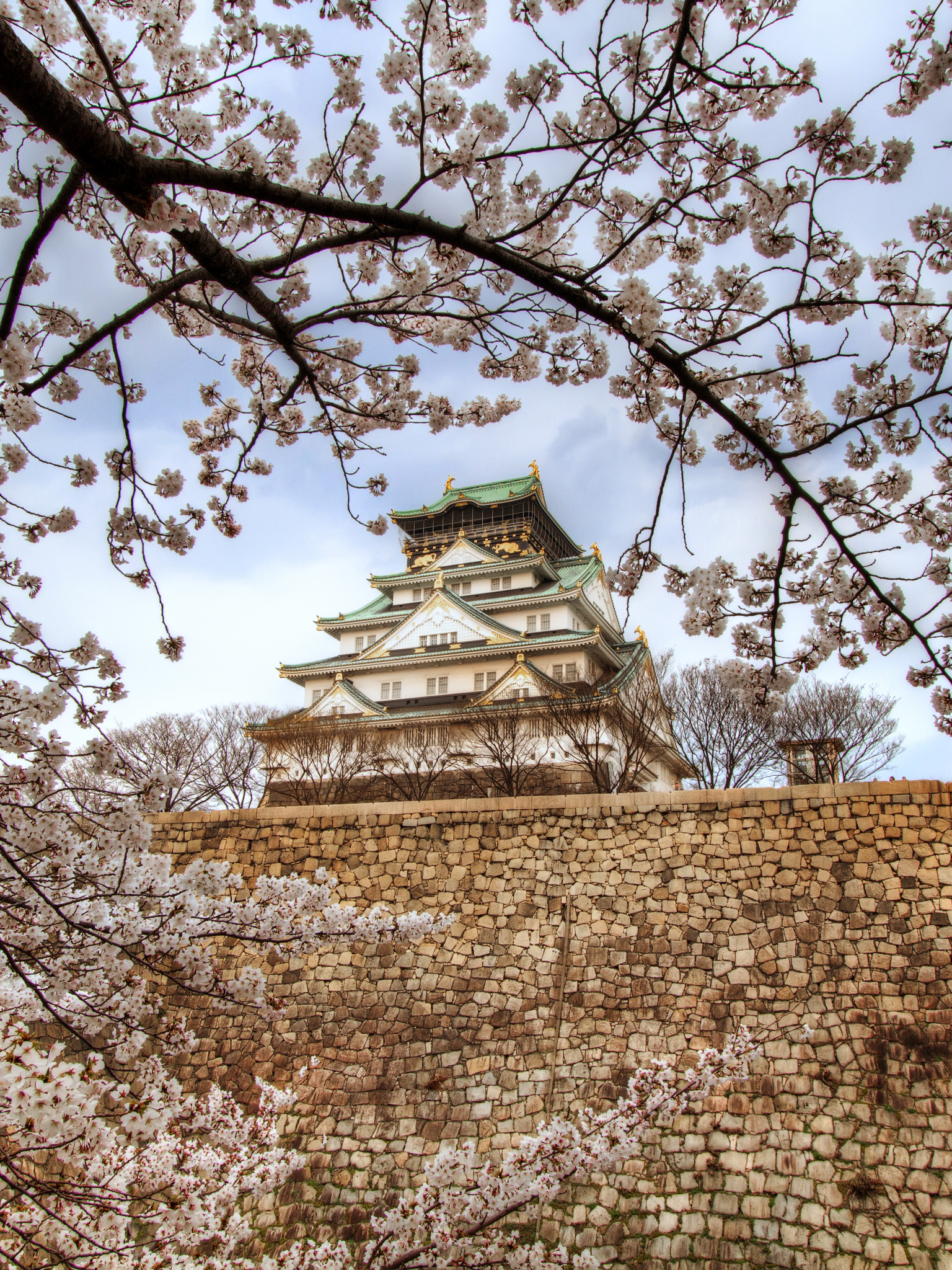 Osaka Castle, Travels, Man-made masterpiece, Historical preservation, 1540x2050 HD Phone