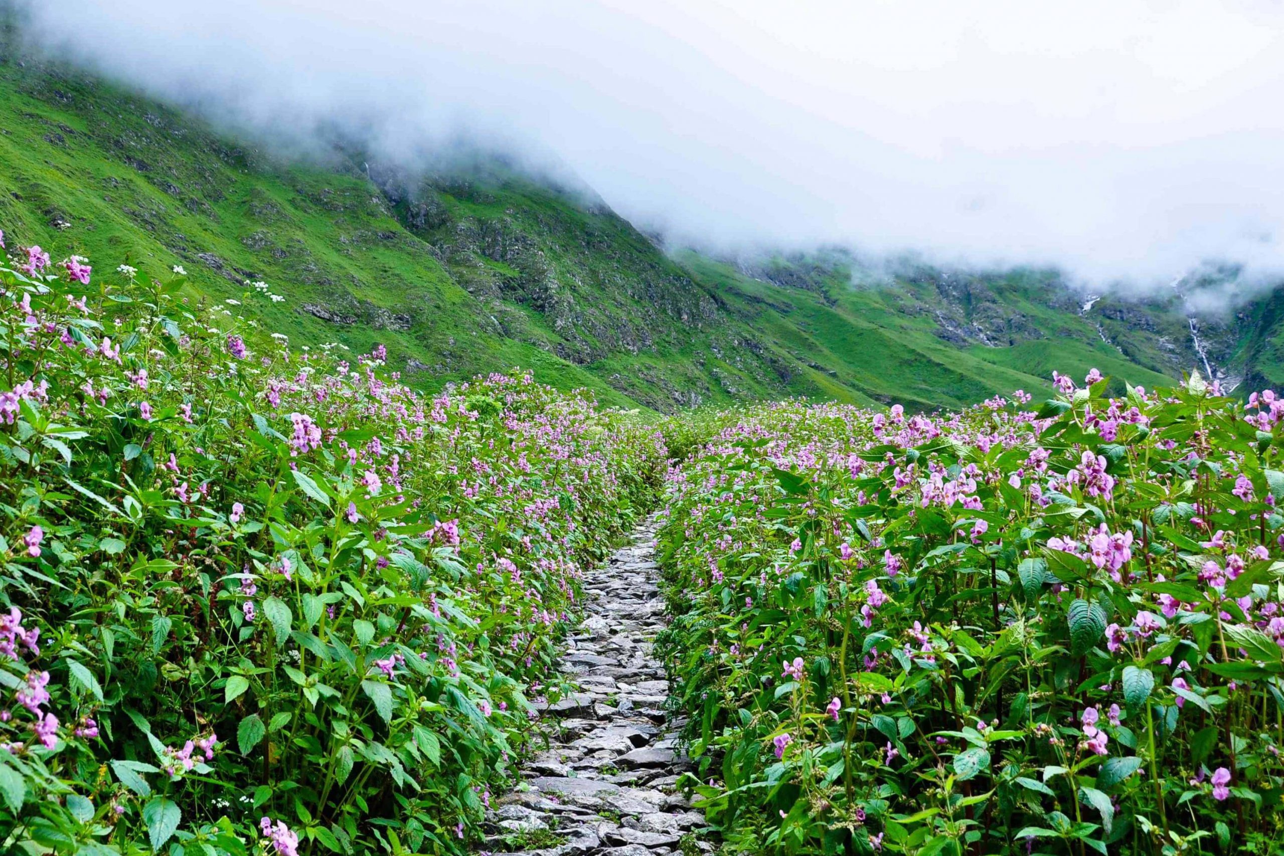 Best treks in Uttarakhand, Summer trekking, Travel, 2560x1710 HD Desktop