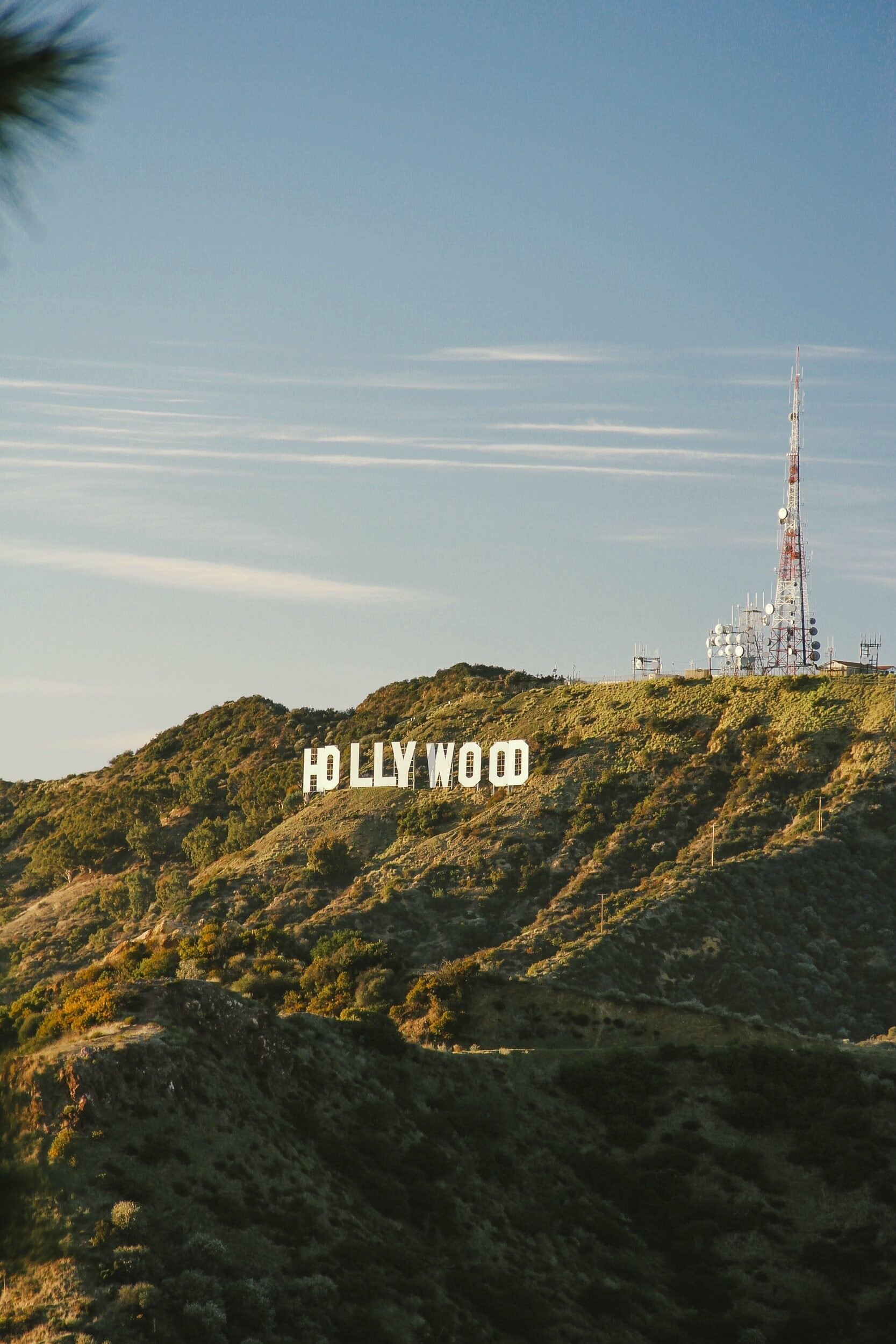 Hollywood Sign: The landmark's site and the surrounding land are part of Griffith Park. 1670x2500 HD Wallpaper.