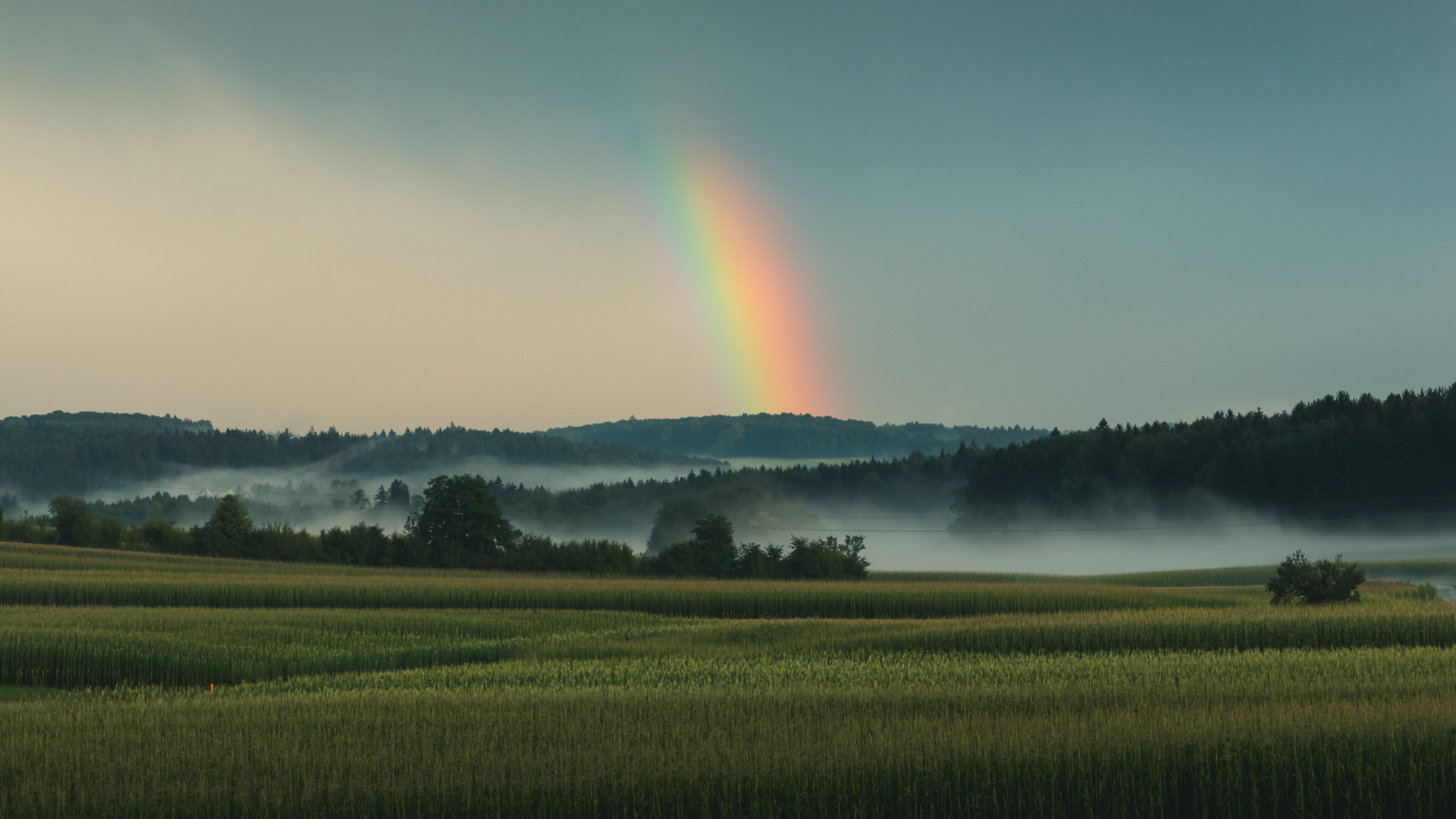 Rainbow Colors: Grassland, Landscape, Sky, rAtmospheric phenomenon. 3840x2160 4K Background.