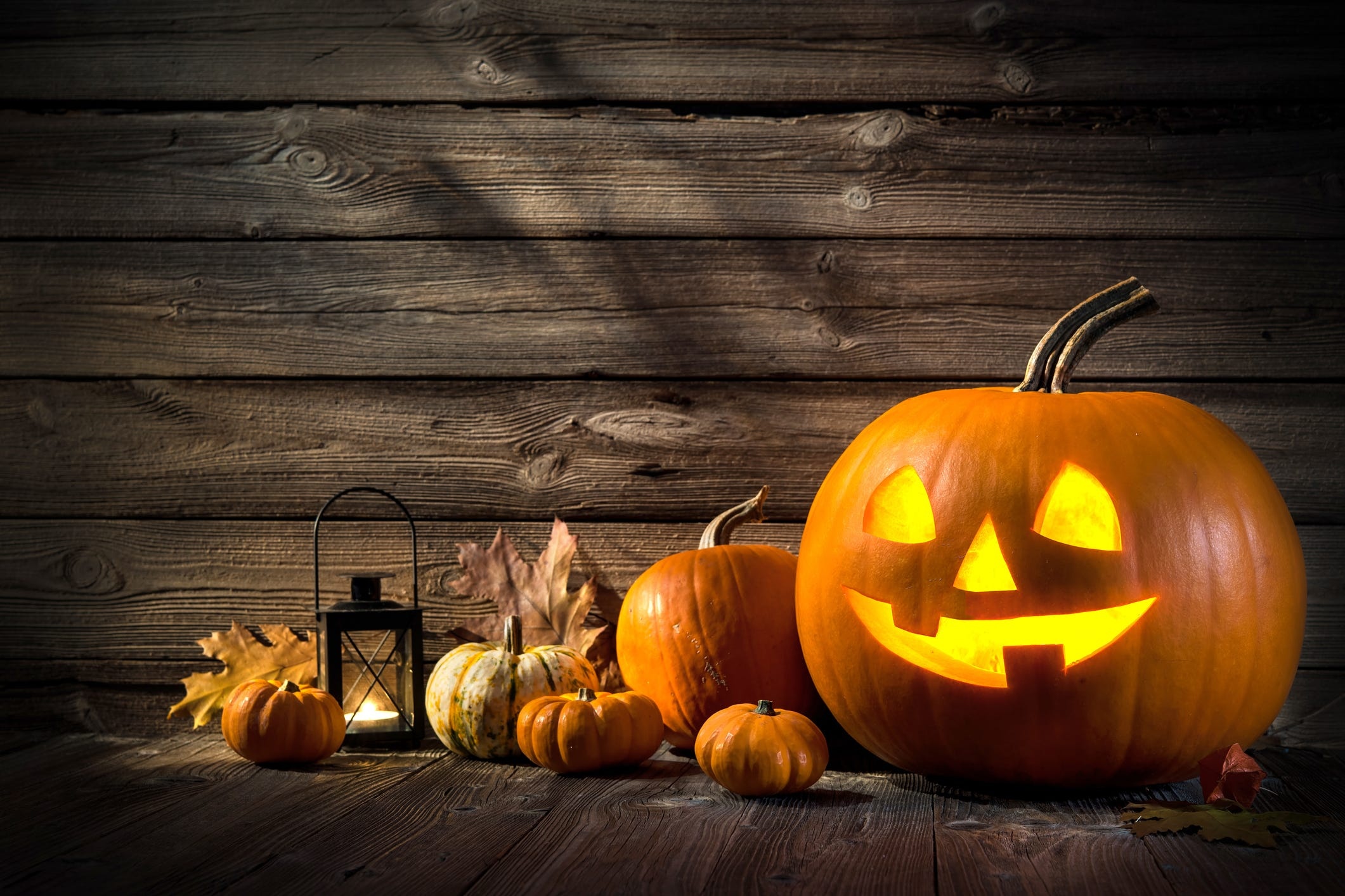 Halloween pumpkins, Critter pumpkin eaters, Festive decor ideas, Halloween 2021, 2130x1420 HD Desktop