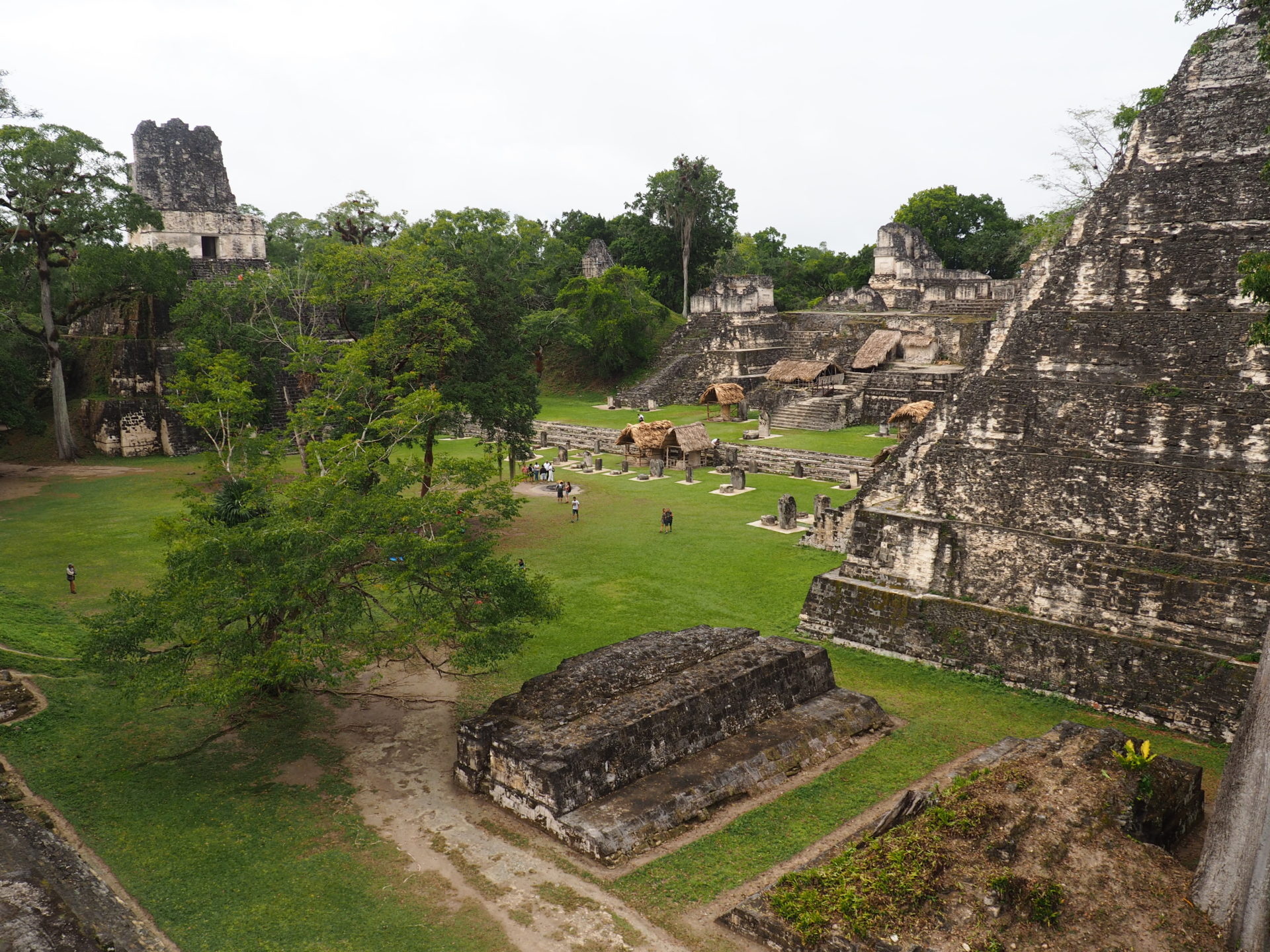 Überlebenstipps für eine Reise nach Tikal, 1920x1440 HD Desktop