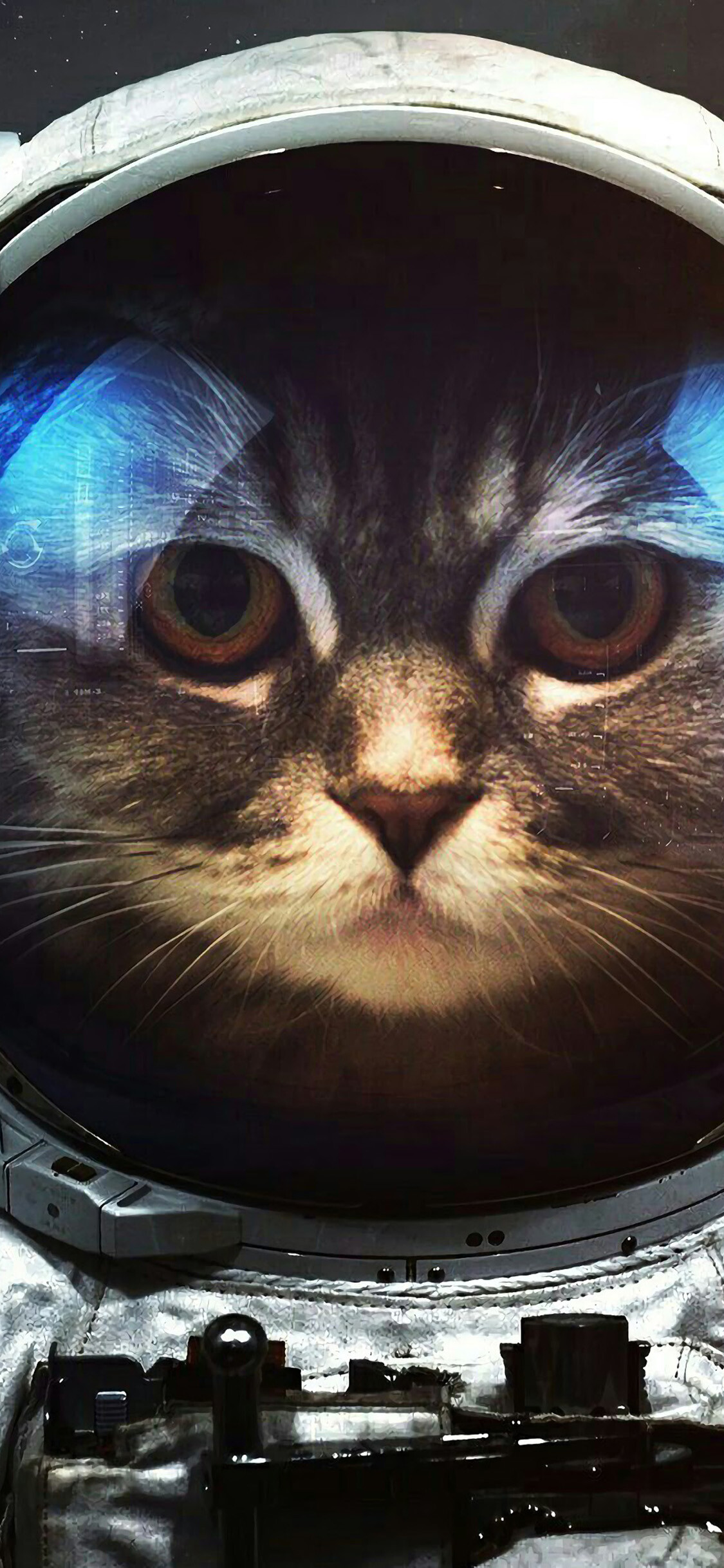 Space Cat, Cats Wallpaper, 1130x2440 HD Phone