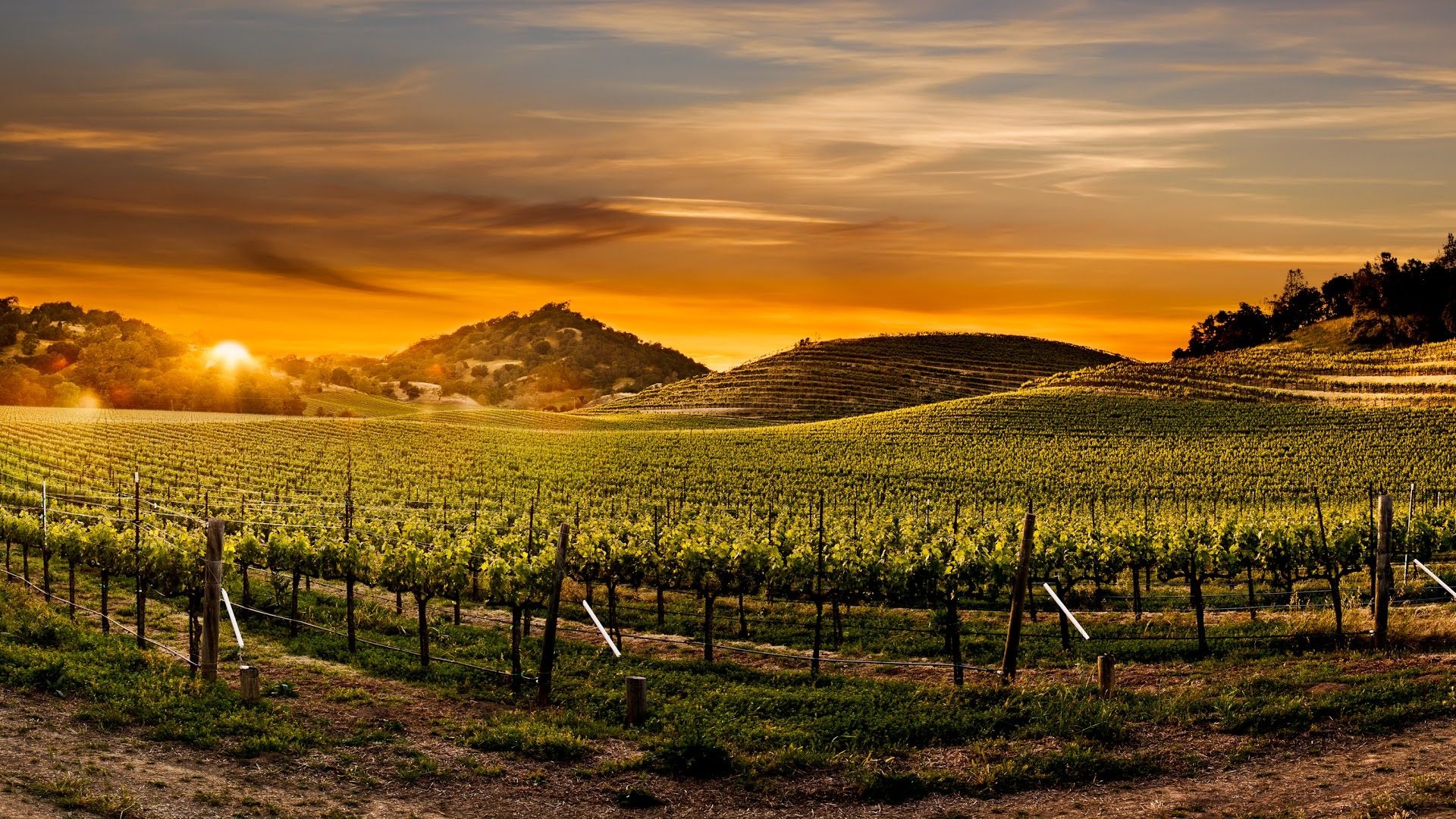 Napa wallpapers, Stunning backgrounds, Captivating scenery, Wallpaper Access, 1920x1080 Full HD Desktop