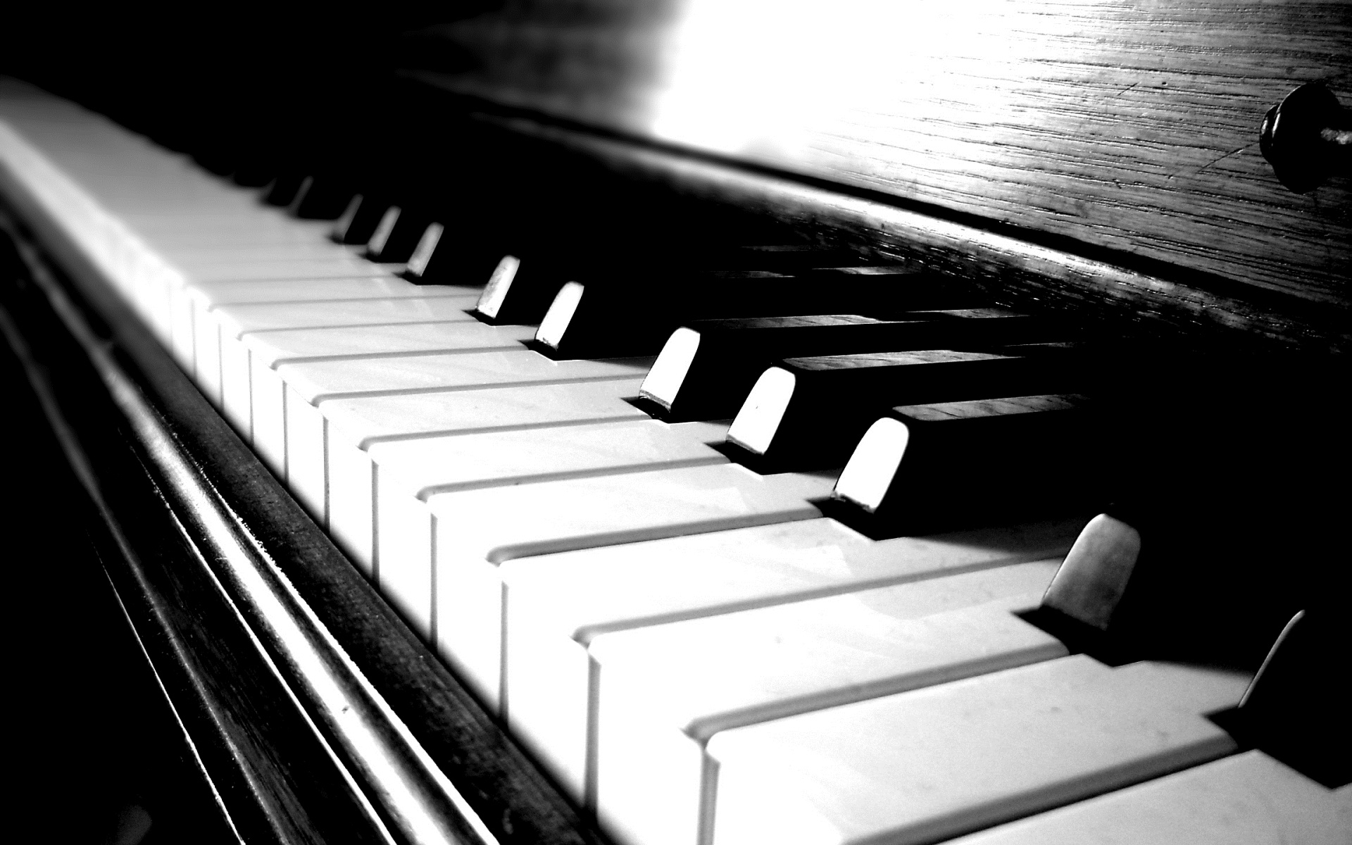Fortepiano: Monochromatic, Keyboard Instrument, Sound Volume Of Each Note Can Be Varied By Player's Touch. 1920x1200 HD Wallpaper.