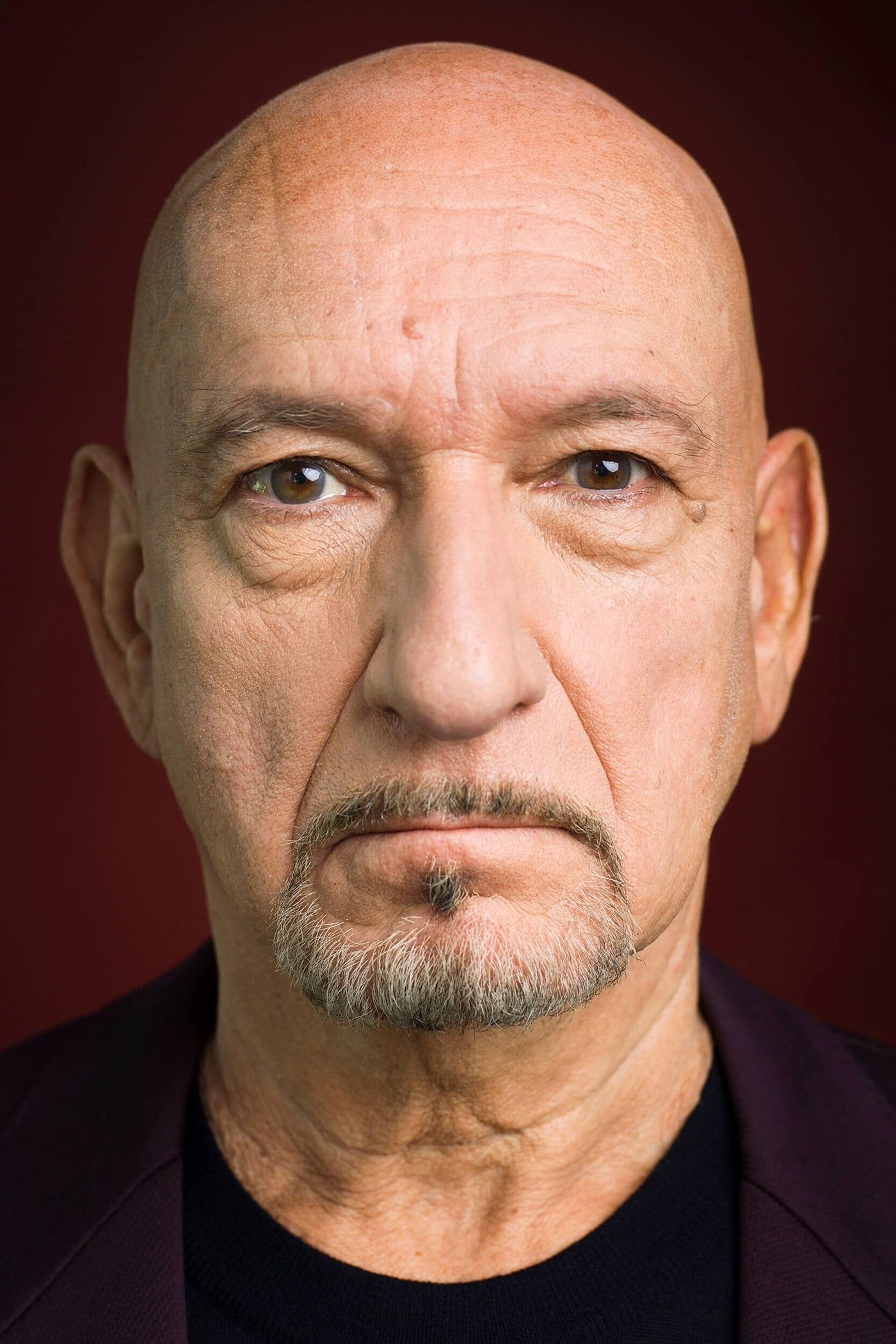 Ben Kingsley, Profile images, The Movie Database, 1400x2100 HD Phone