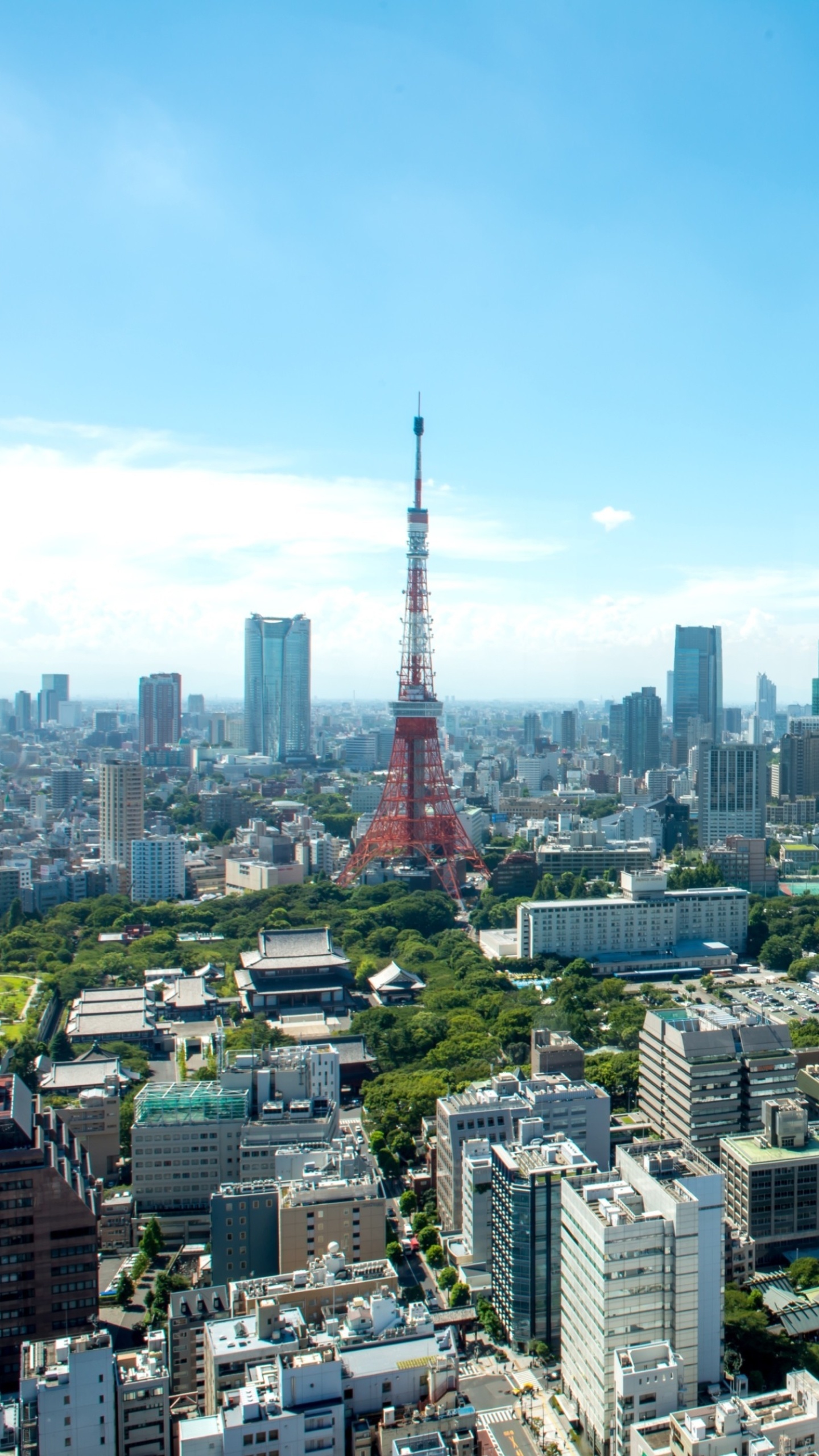 Tokyo Skyline, Man made wonder, Vibrant city lights, Iconic landmarks, 1440x2560 HD Handy