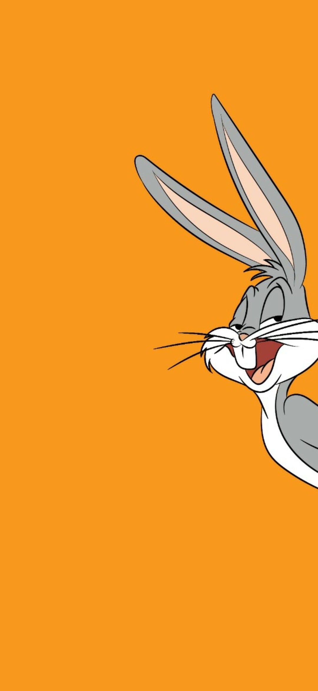 Bugs Bunny, Lola Bunny, Cartoon, Wallpaper, 1080x2340 HD Handy