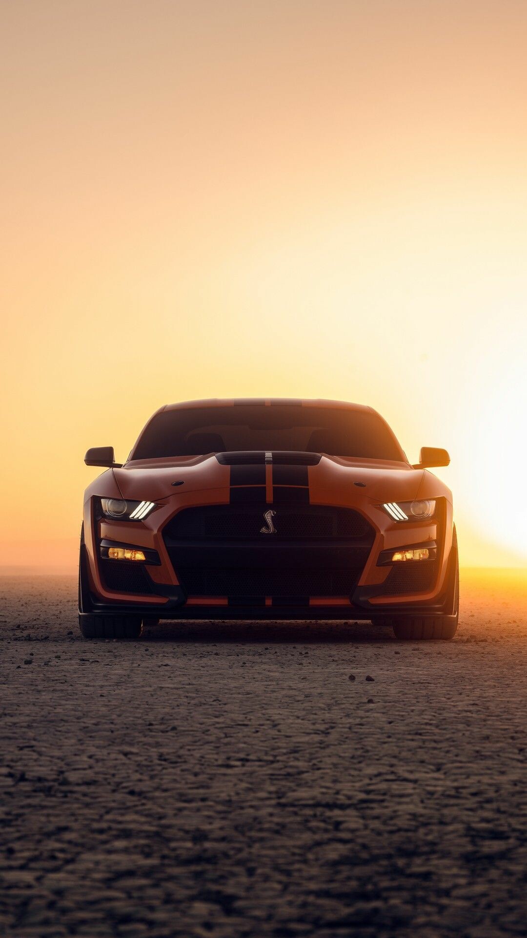 Ford: V8 engine, Ford's fastest Mustang, Shelby. 1080x1920 Full HD Background.