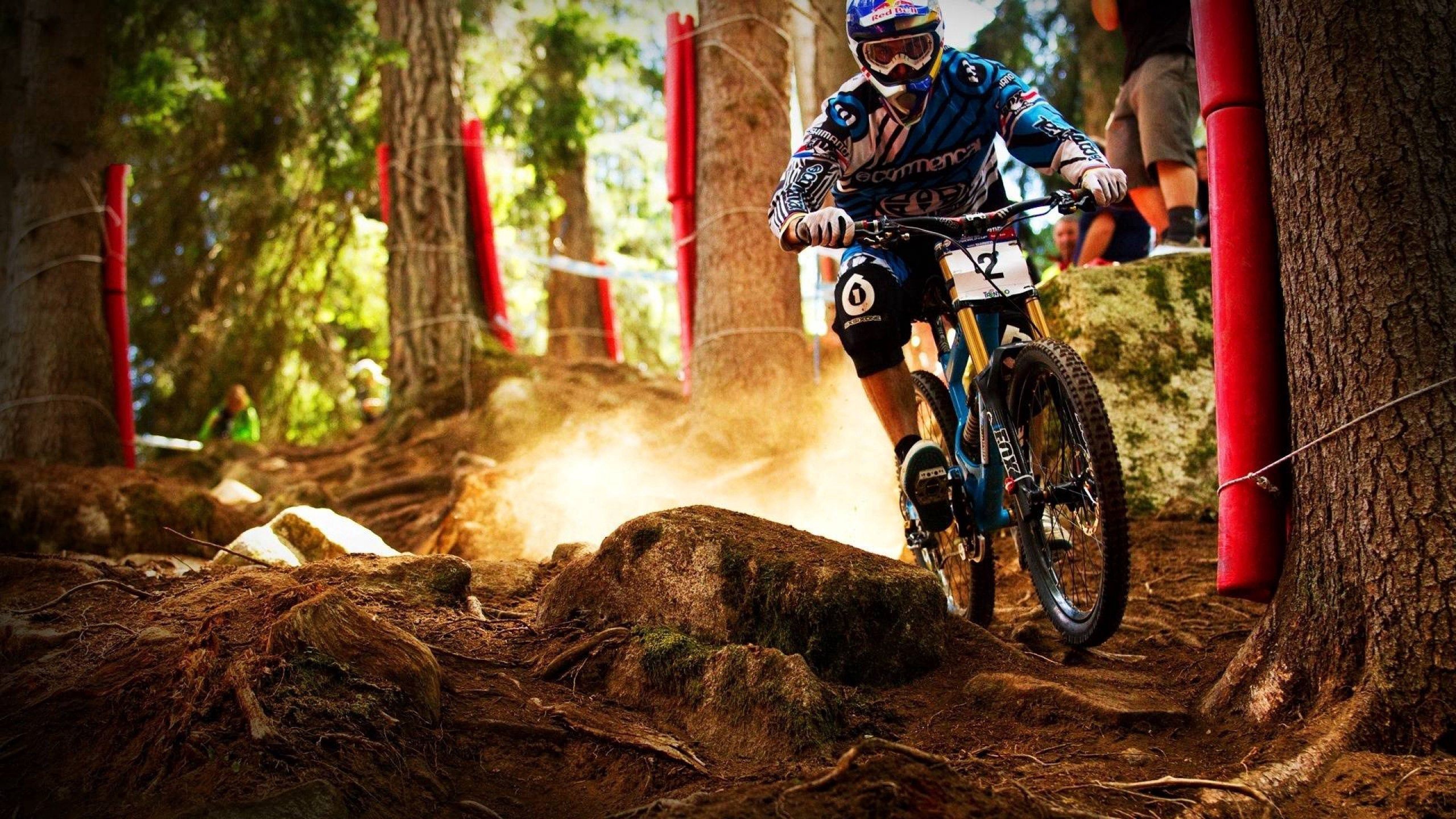 Cycling mountain bike, Download now, Get started, Explore the beauty, 2560x1440 HD Desktop