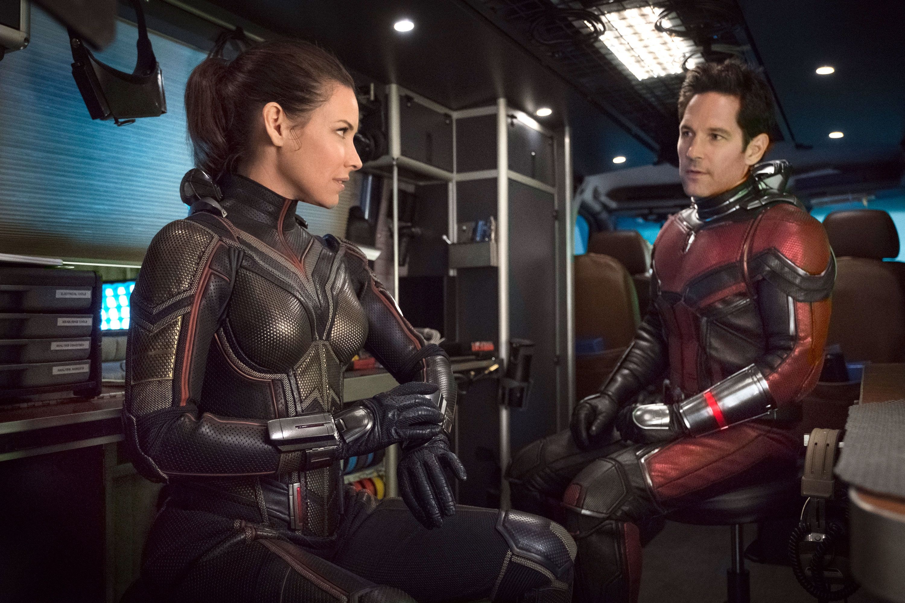 Evangeline Lilly, Wasp character, Ant-Man 3 director, Lead stars equality, 3000x2000 HD Desktop