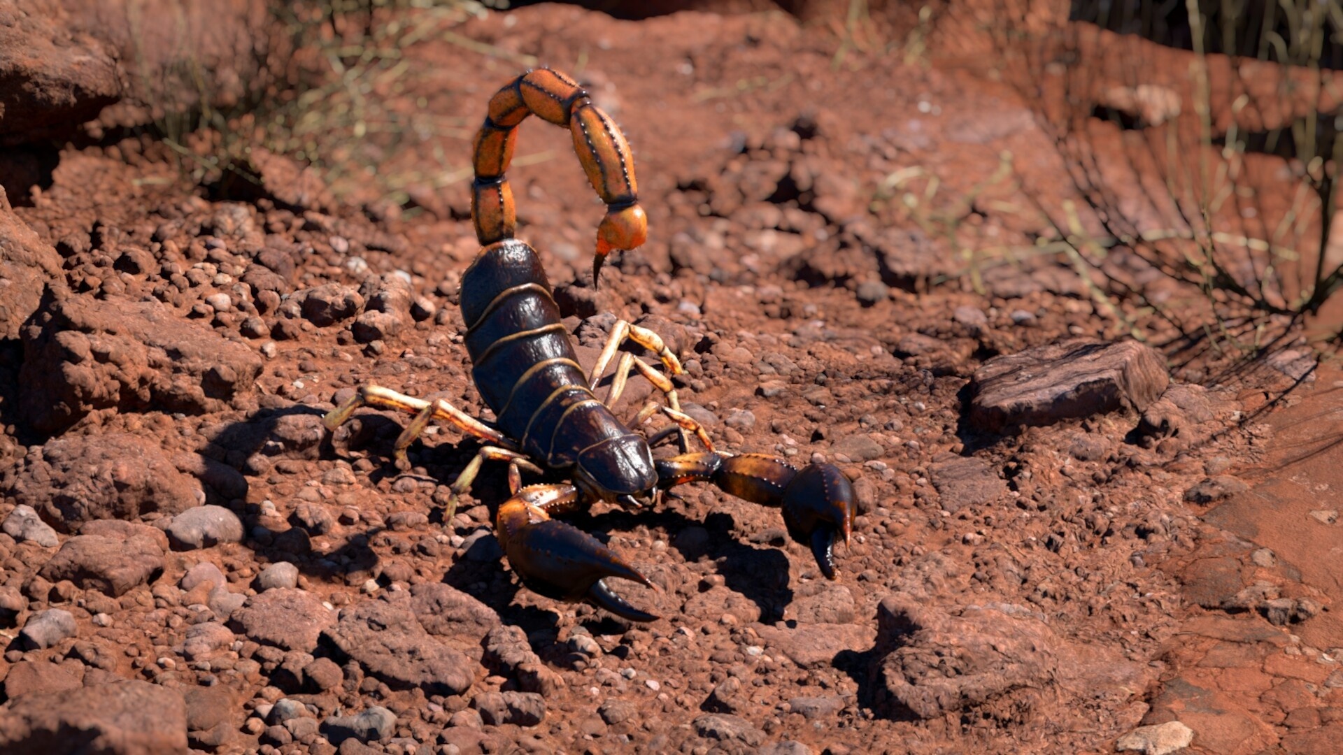 Scorpion (Animal): Able to control the amount of venom they release in each sting. 1920x1080 Full HD Wallpaper.