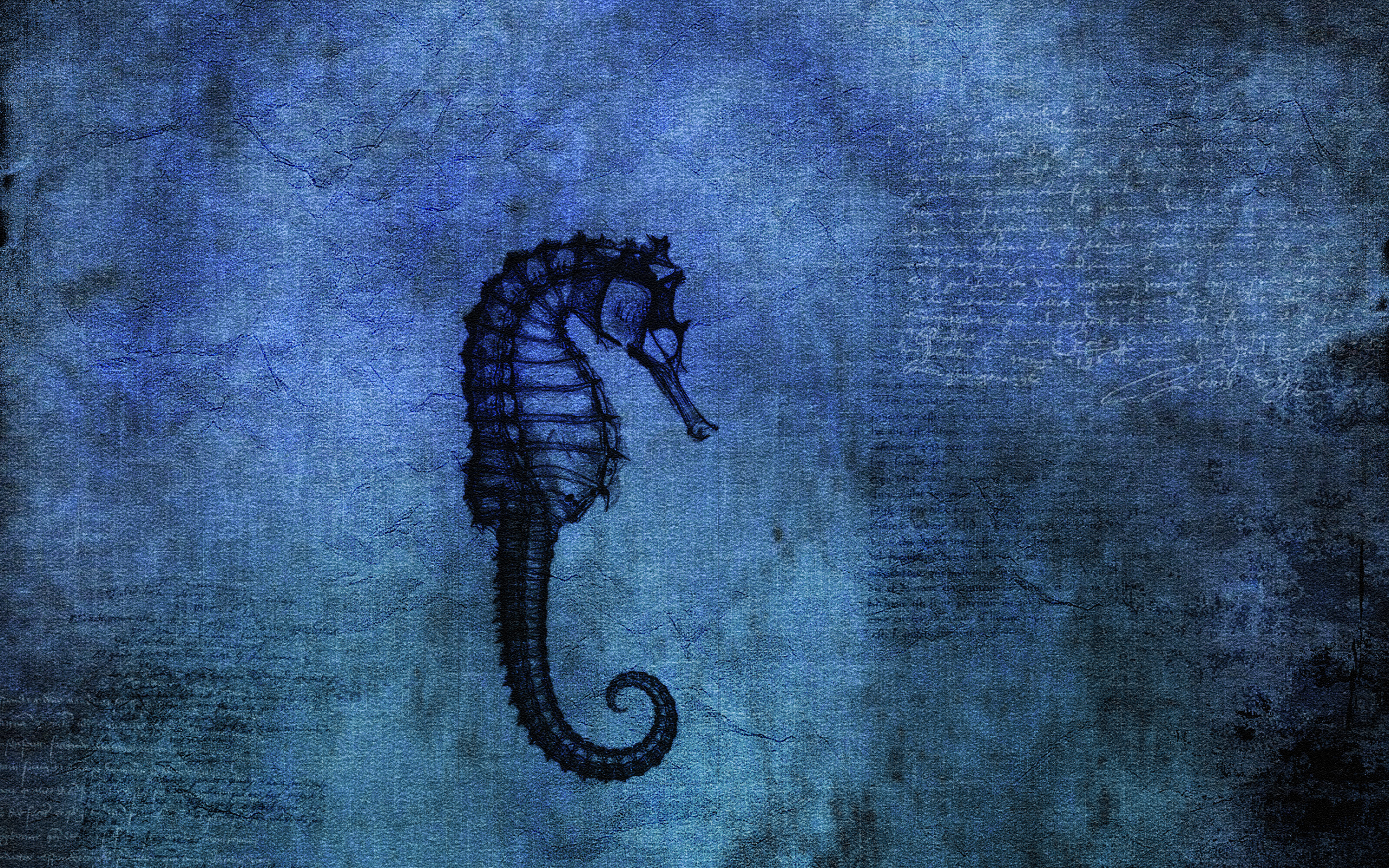 Seahorse, Wallpaper, Animals, 2560x1600 HD Desktop