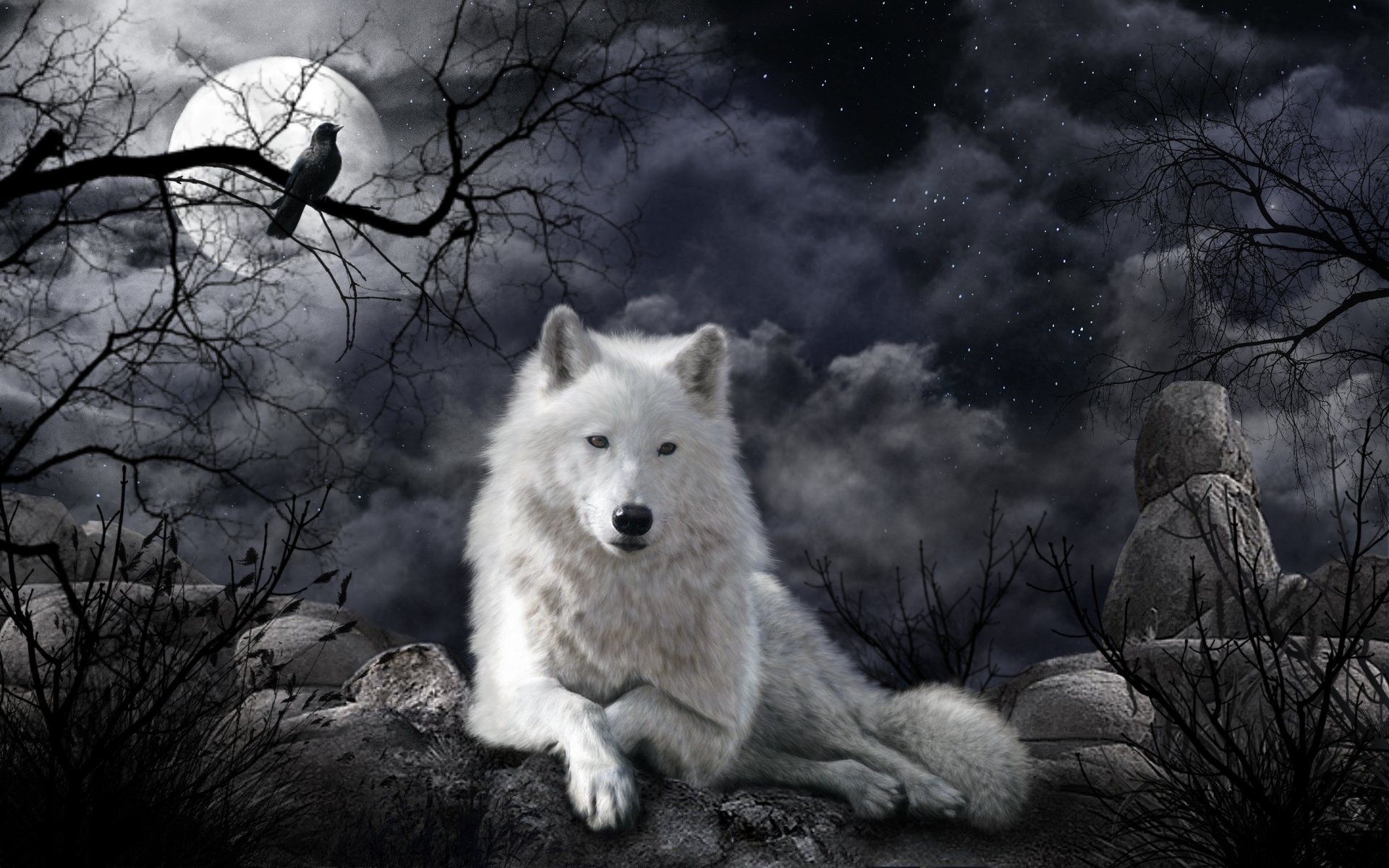 Ice Wolf, Raven and wolf wallpapers, Mystical creatures, Animal kingdom, 1920x1200 HD Desktop