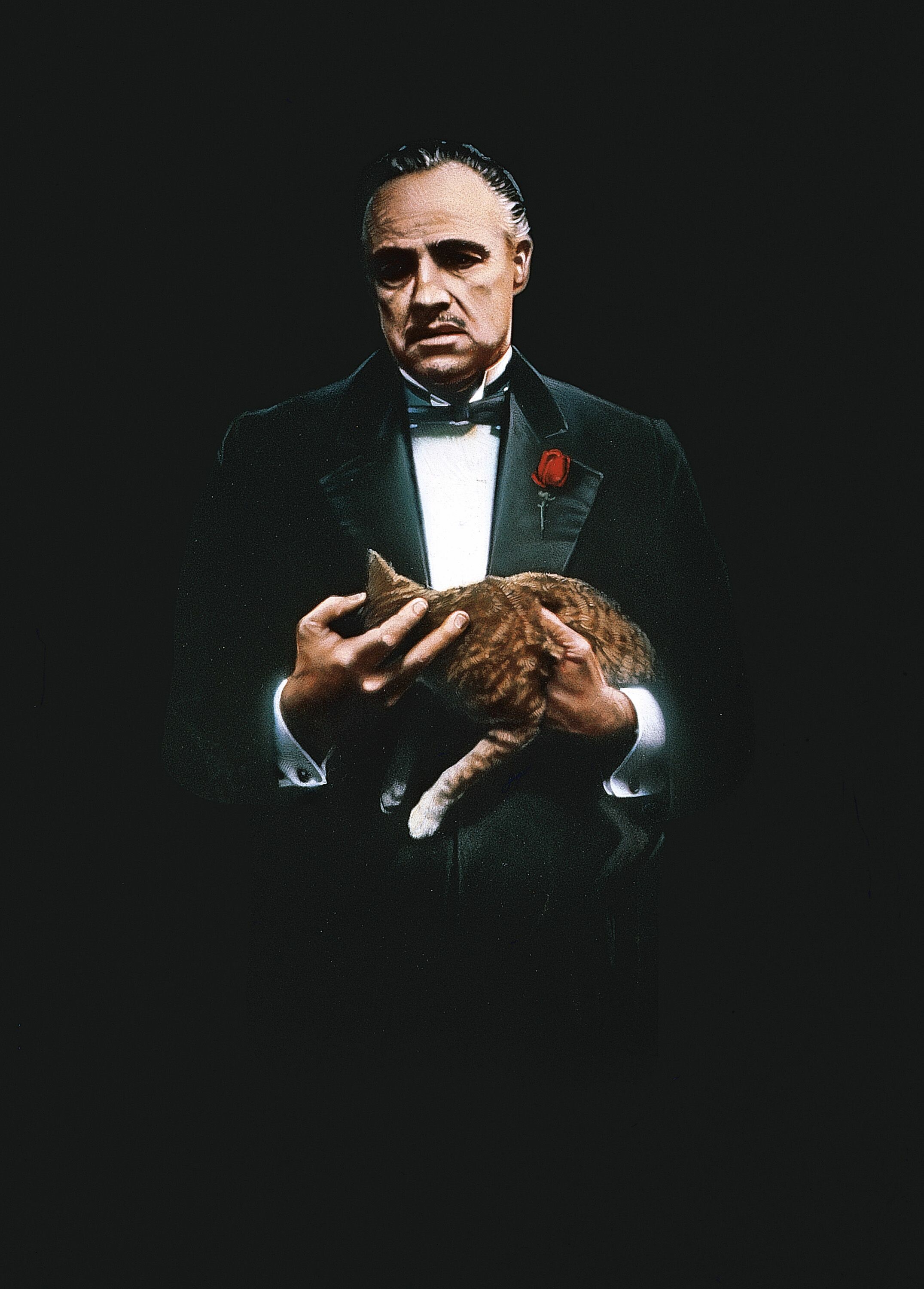 The Godfather: Francis Ford Coppola co-wrote the screenplay with Mario Puzo. 2160x3000 HD Wallpaper.
