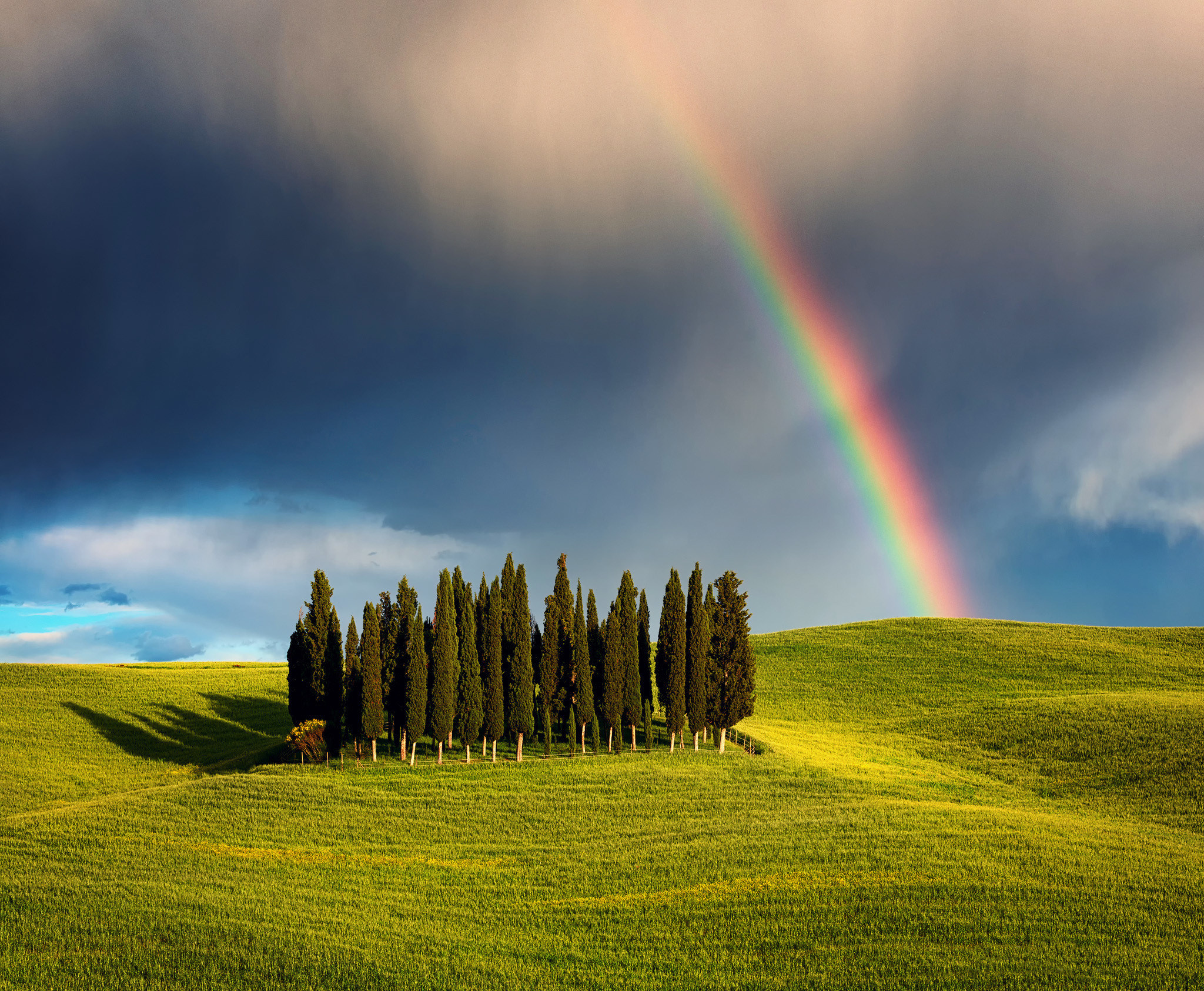 Italy, Tuscany, Cypress hill, Nature, 2050x1690 HD Desktop