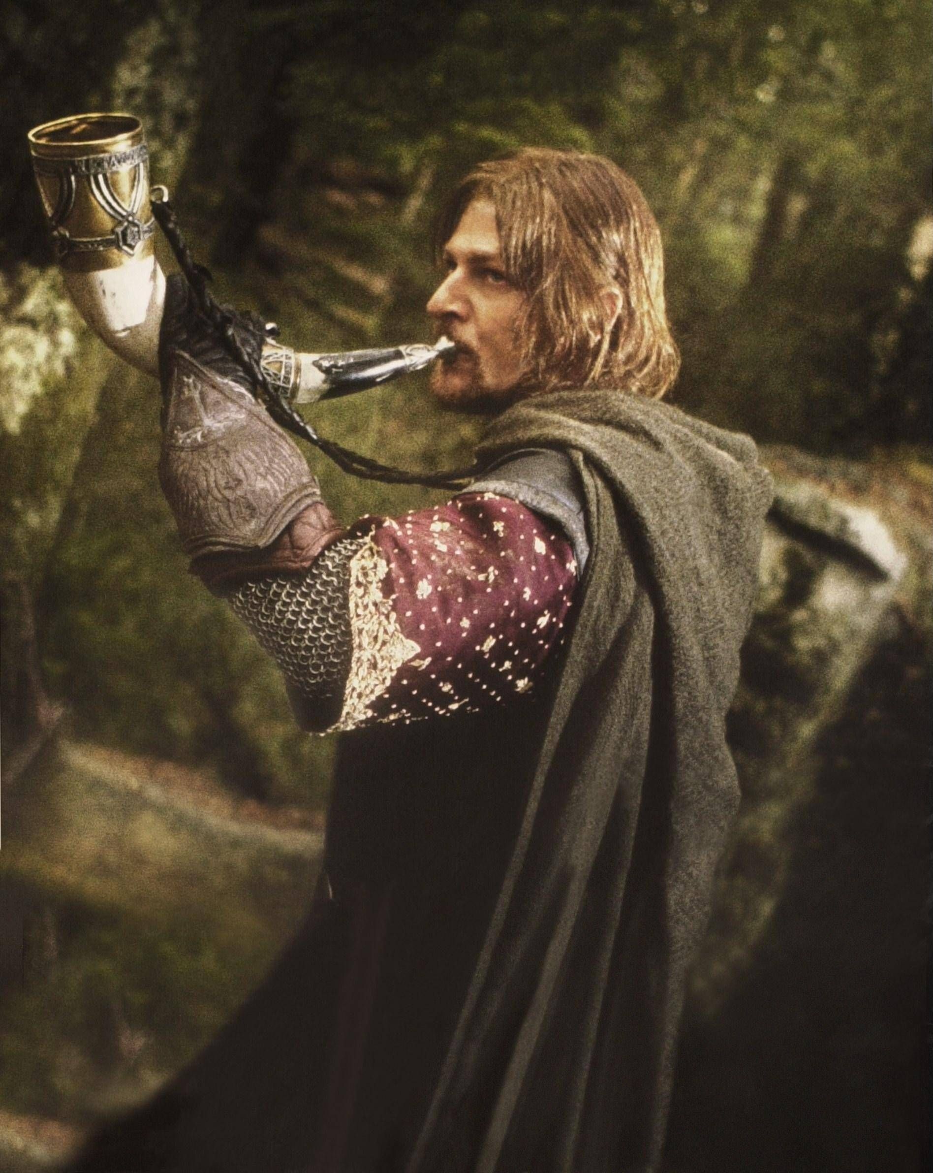 Boromir, Lord of the Rings, Fellowship of the Ring, 1900x2390 HD Phone