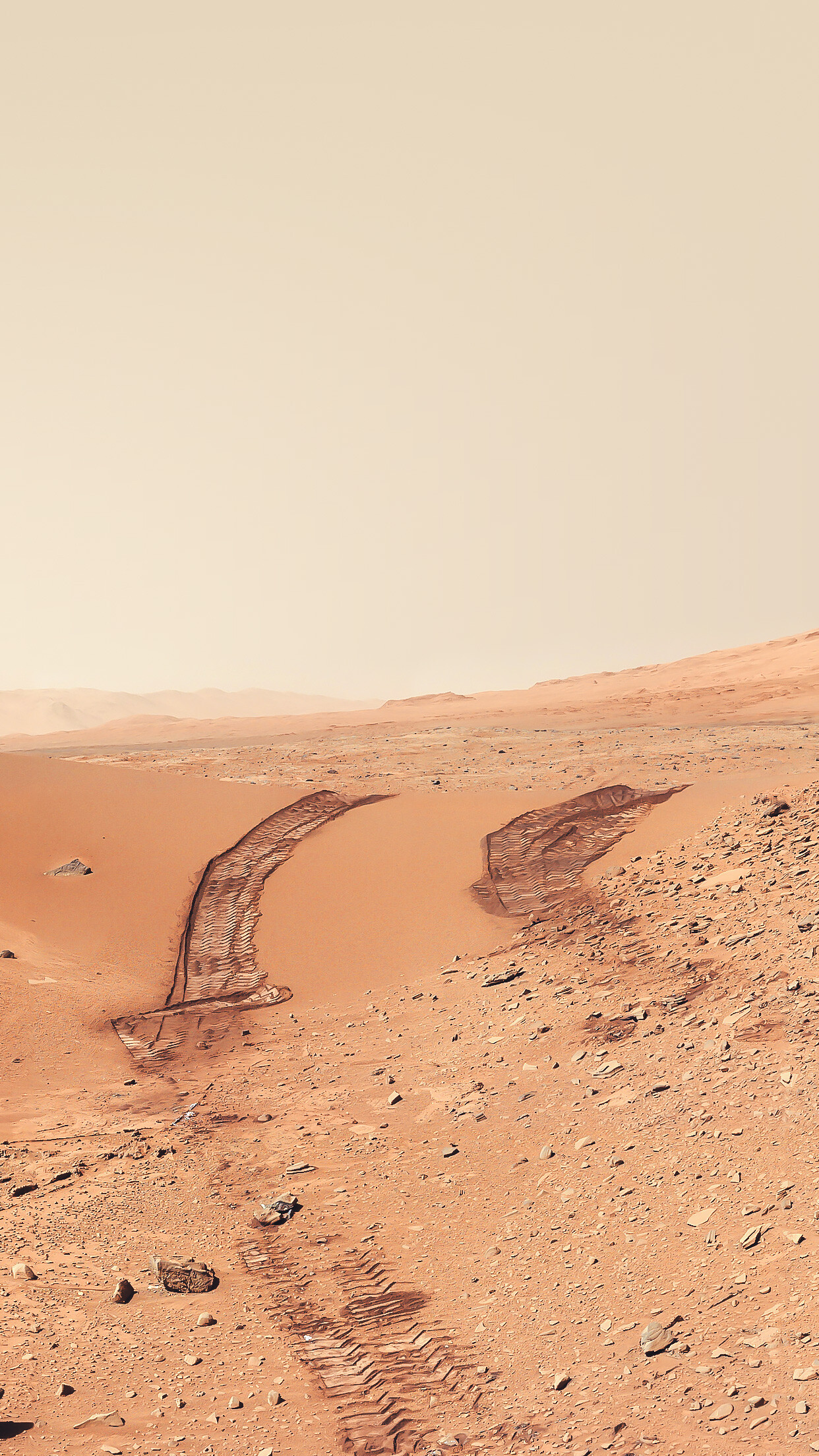 Mars: The Martian surface, Curiosity, Gravitation. 1250x2210 HD Background.