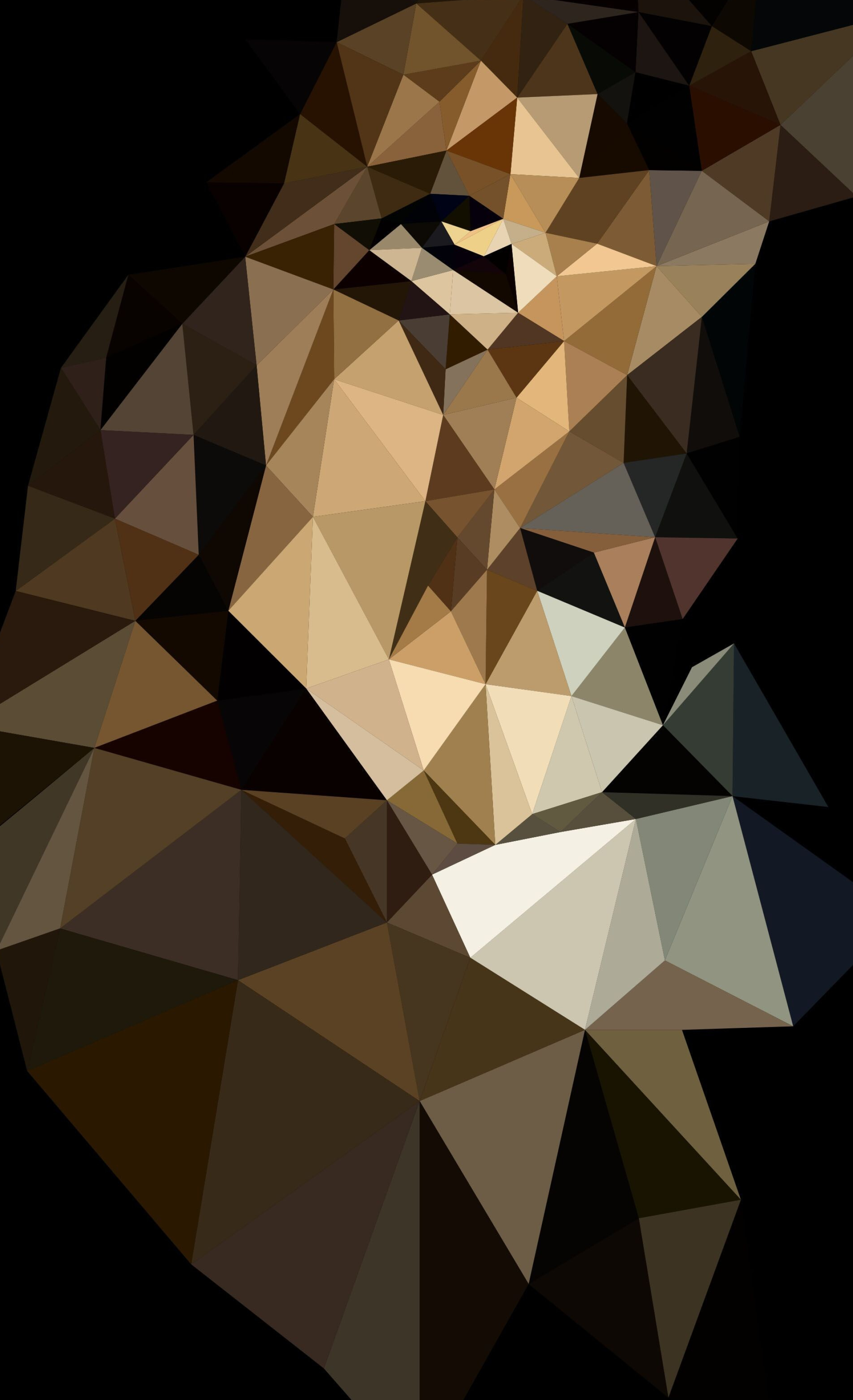 Geometric Animal: Art with straight lines and more complex mathematical features and relationships. 2120x3470 HD Background.