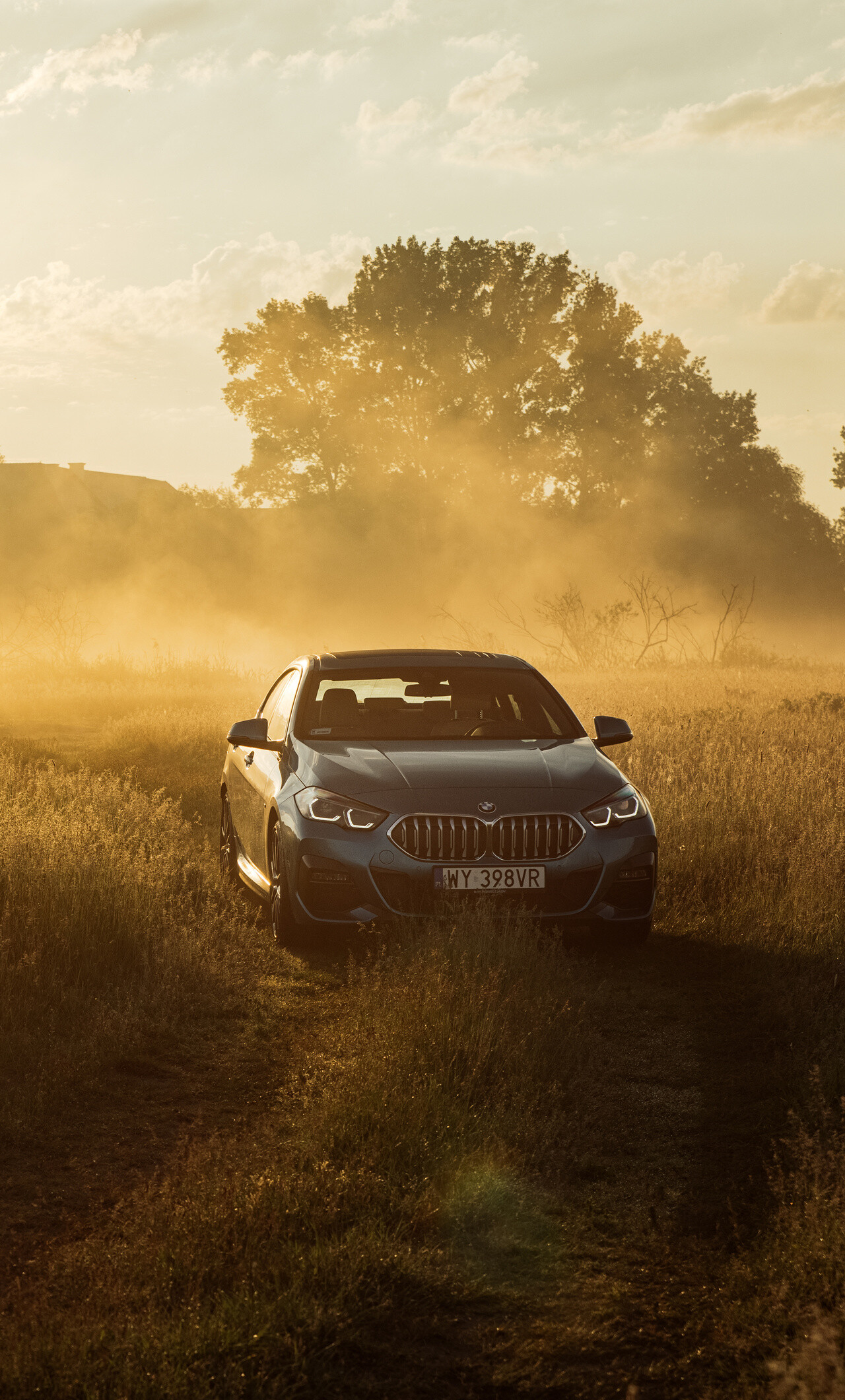 BMW 2 Series: 220i Gran Coupe M Sport, A base model 2-series coupe. 1280x2120 HD Background.