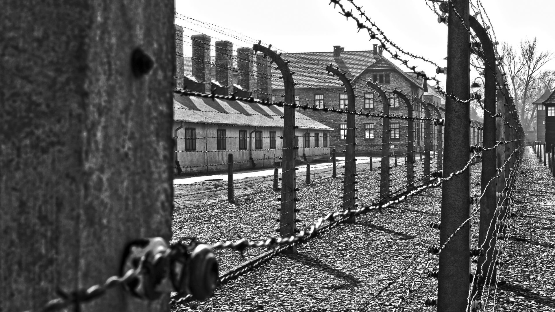 Auschwitz reflection, Elysian magazine, Daphna Smolka, Holocaust perspective, 1920x1080 Full HD Desktop