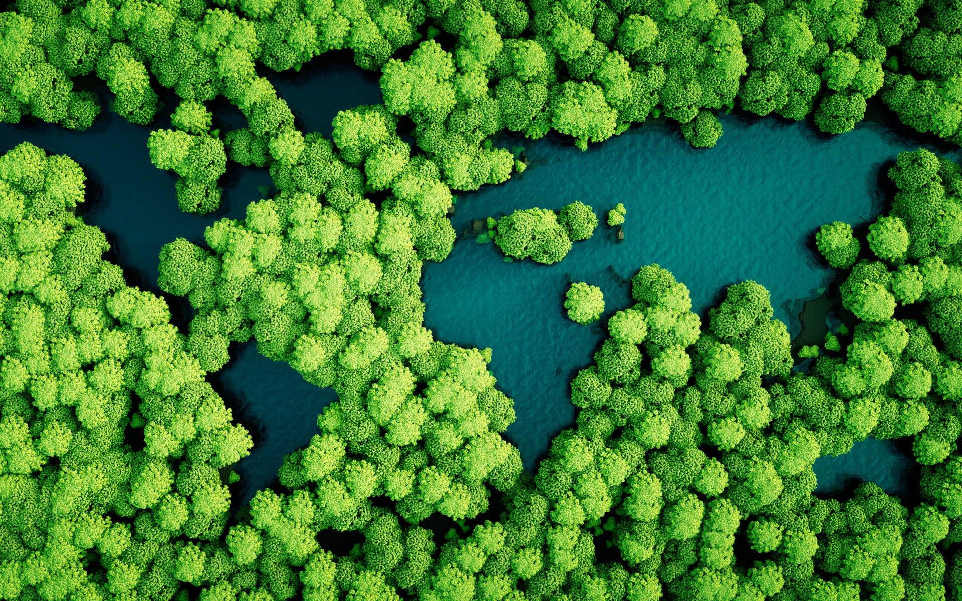 Entdecken Sie die Schönheit des Amazonas-Regenwaldes, 1920x1200 HD Desktop