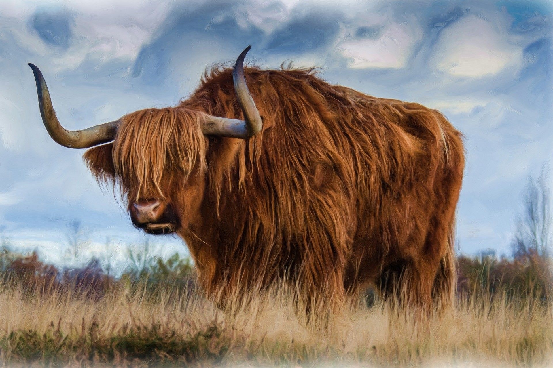 Highland cow, Rustic charm, Grassy landscapes, Nature's masterpiece, 1920x1280 HD Desktop