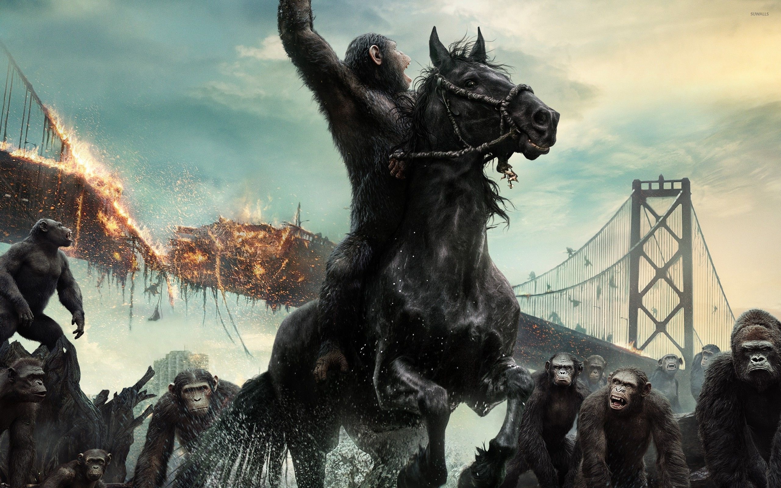 Planet of the Apes, Caesar character, Movie wallpapers, 53669, 2560x1600 HD Desktop