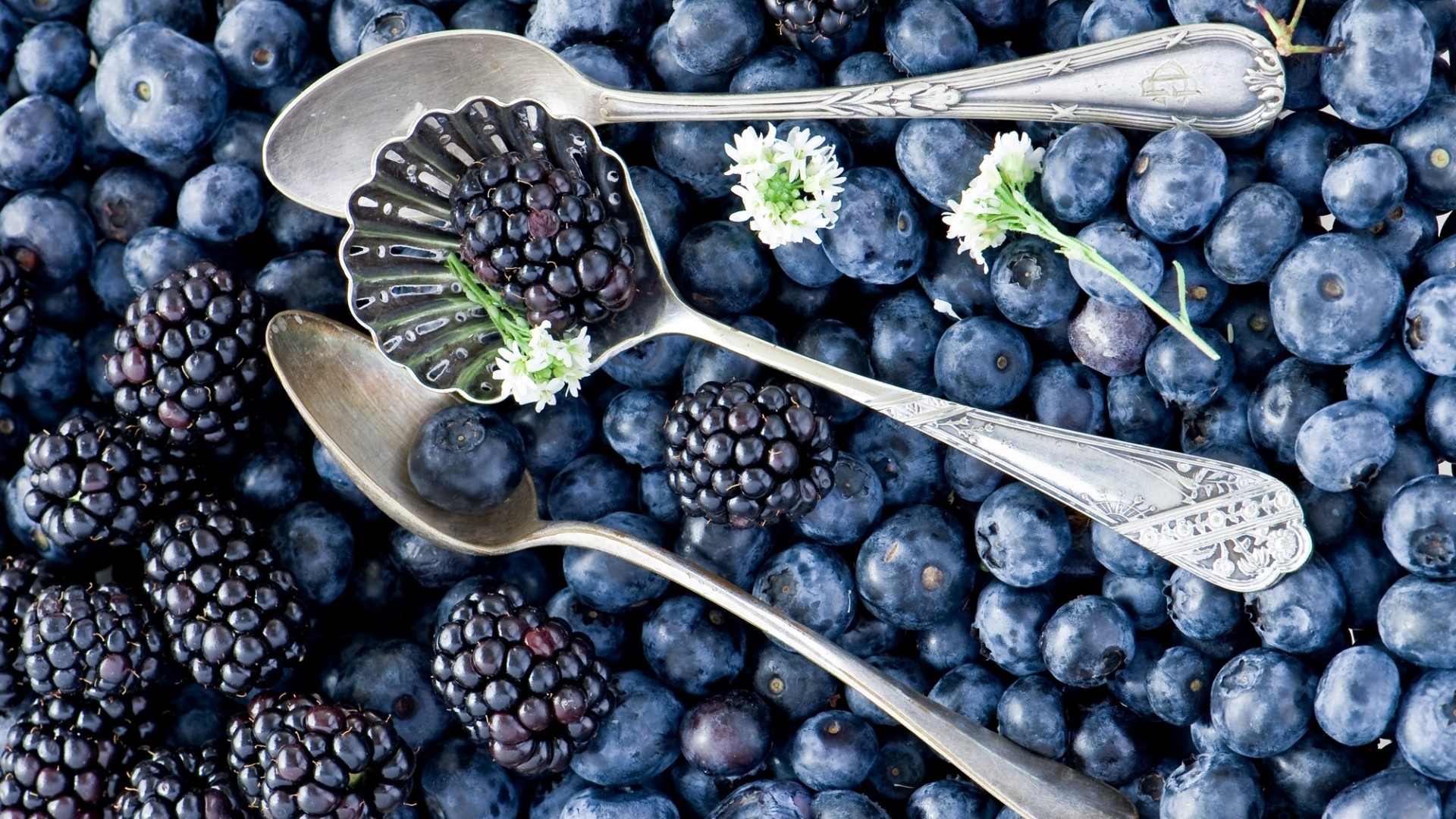 Macro blueberry photography, Berry assortment, Spoonful of berries, Exquisite still life, 1920x1080 Full HD Desktop
