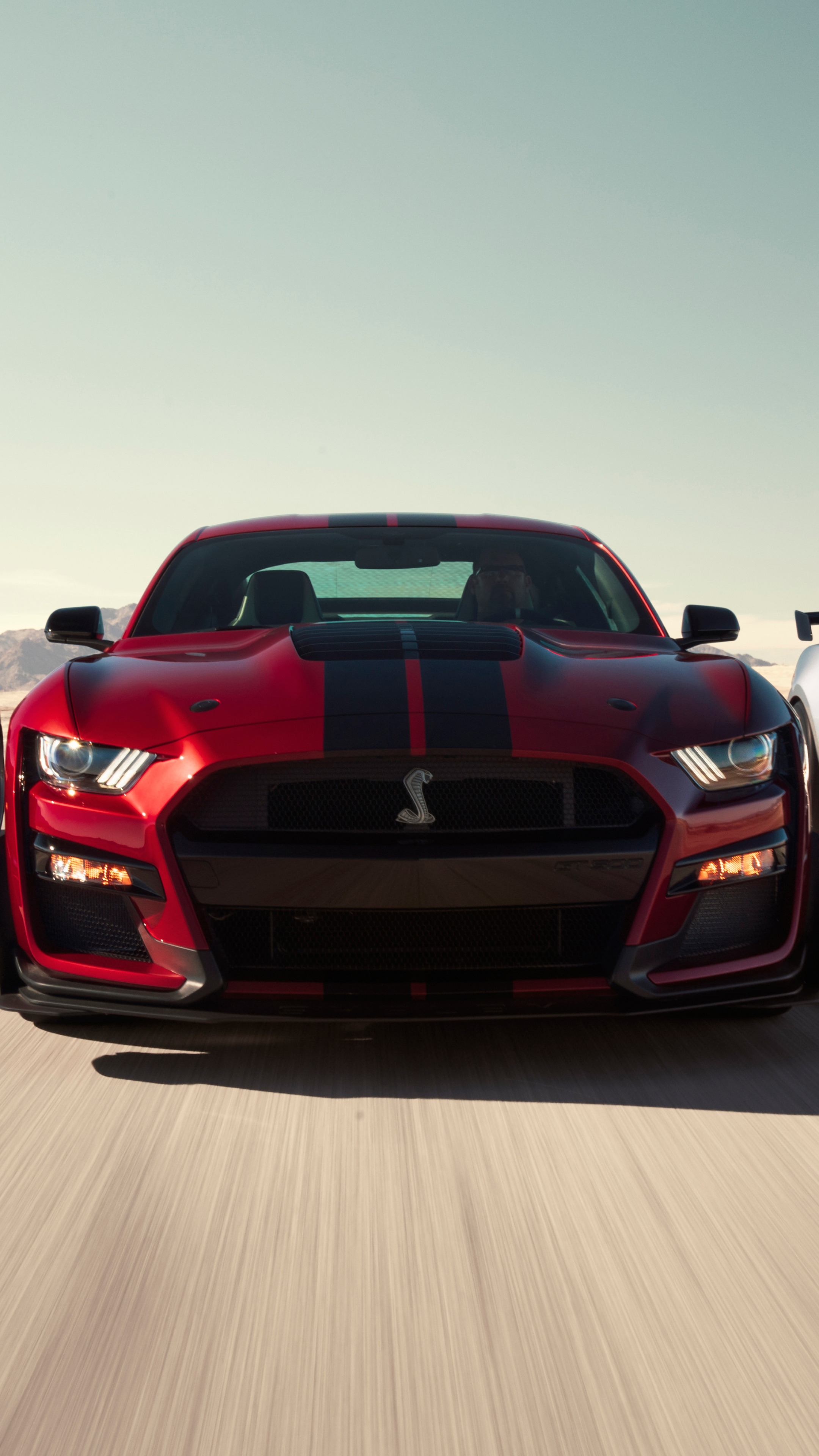 GT500 Auto, Ford Mustang Shelby GT500, 8K wallpaper, 2160x3840 4K Phone