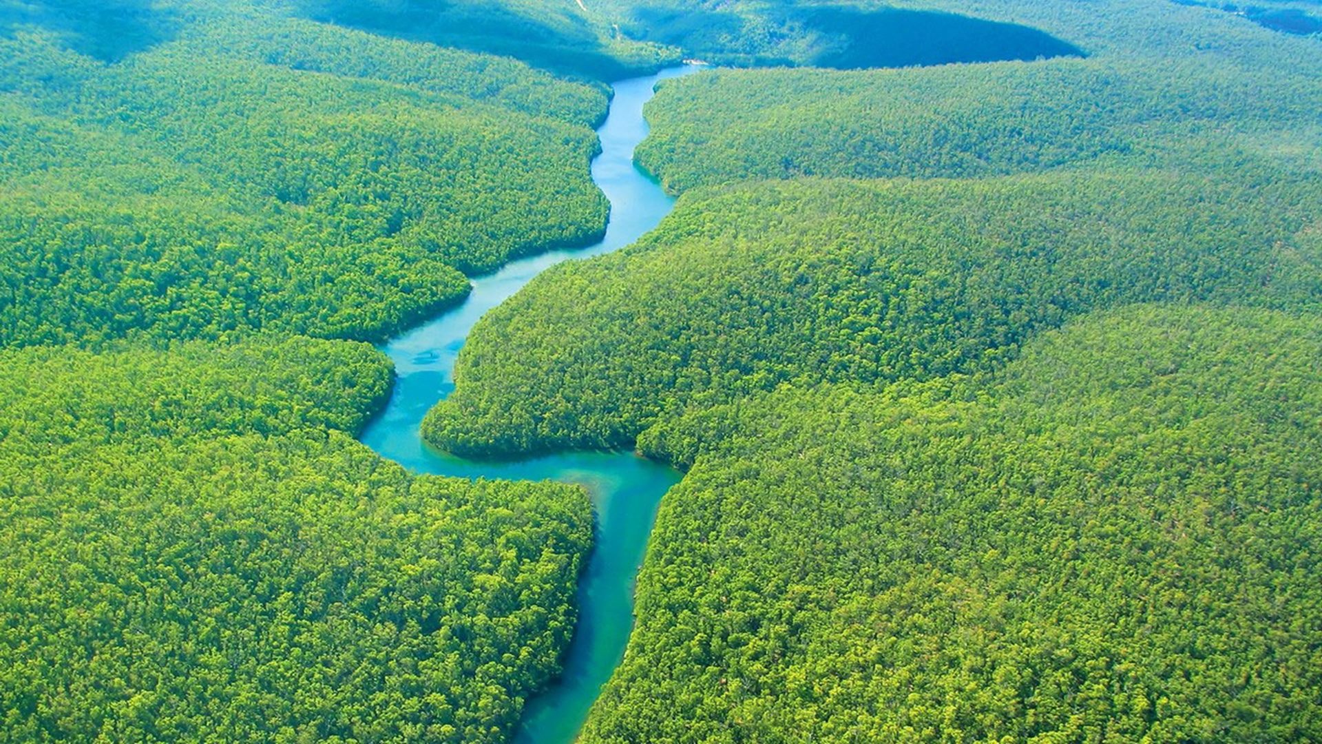 The Amazon River, Rainforest wallpapers, 1920x1080 Full HD Desktop