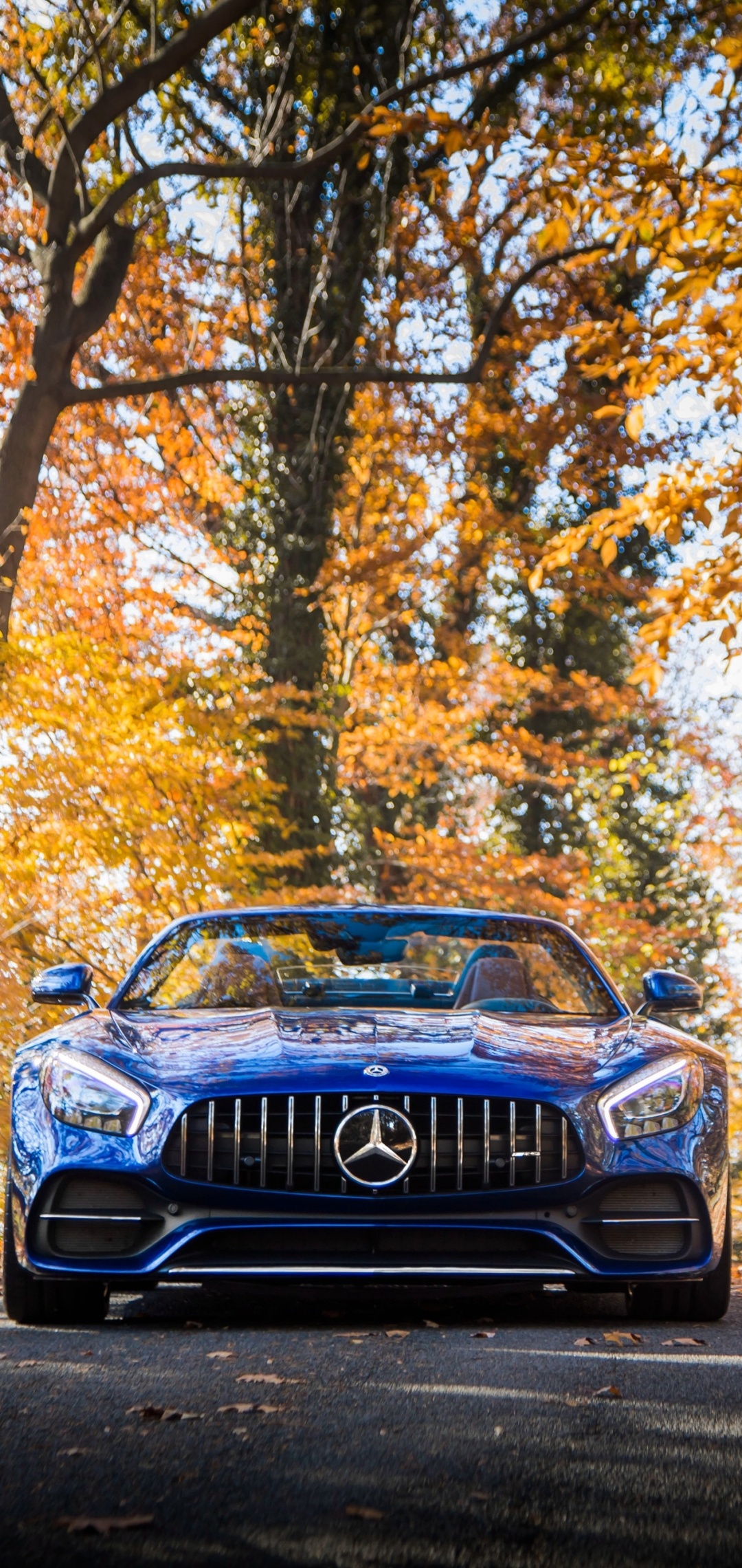 Mercedes-Benz AMG GT, Premium vehicles, High-performance cars, German engineering, 1080x2280 HD Phone