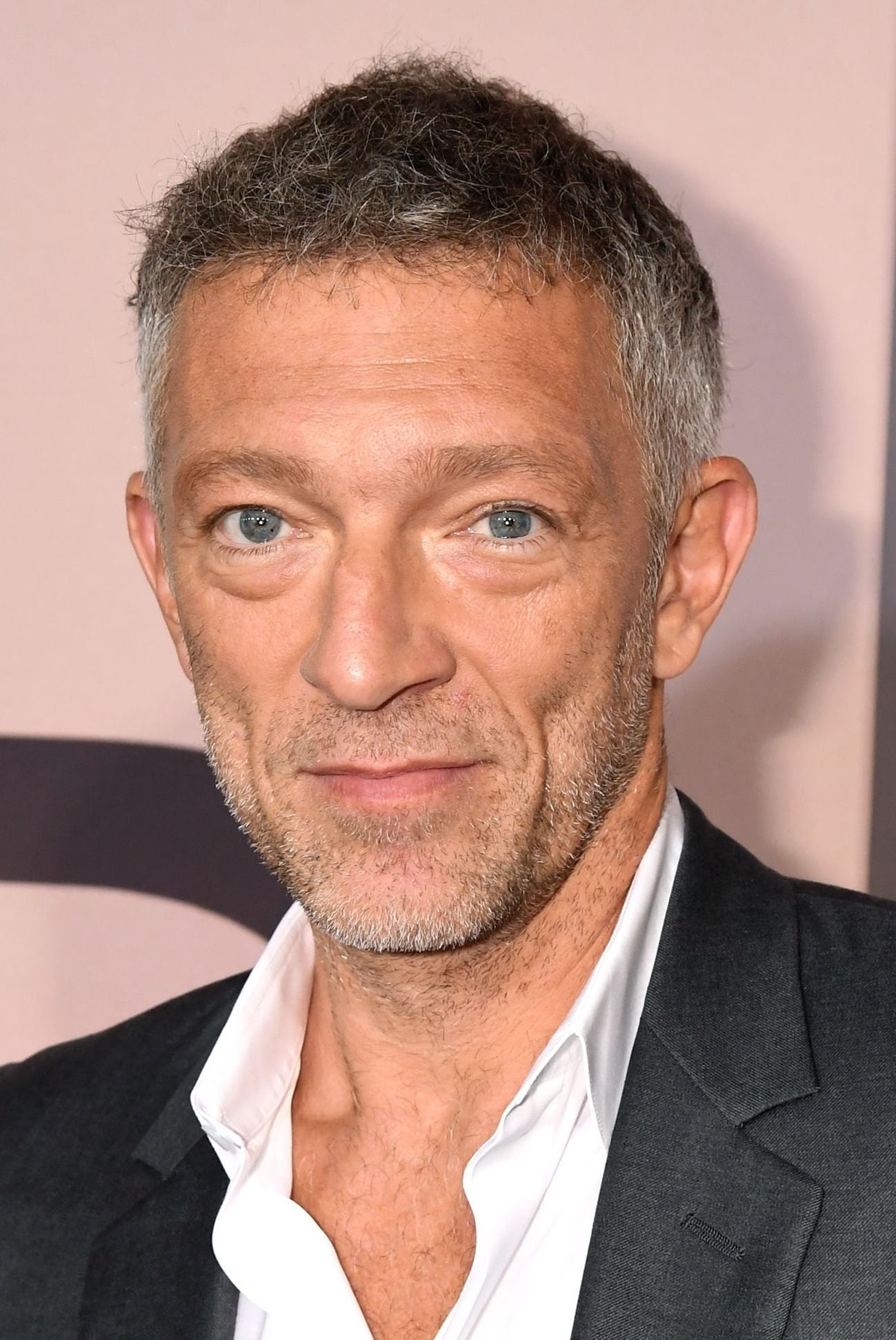 Vincent Cassel, Profile images, The Movie Database, Famous actor, 1300x1950 HD Phone