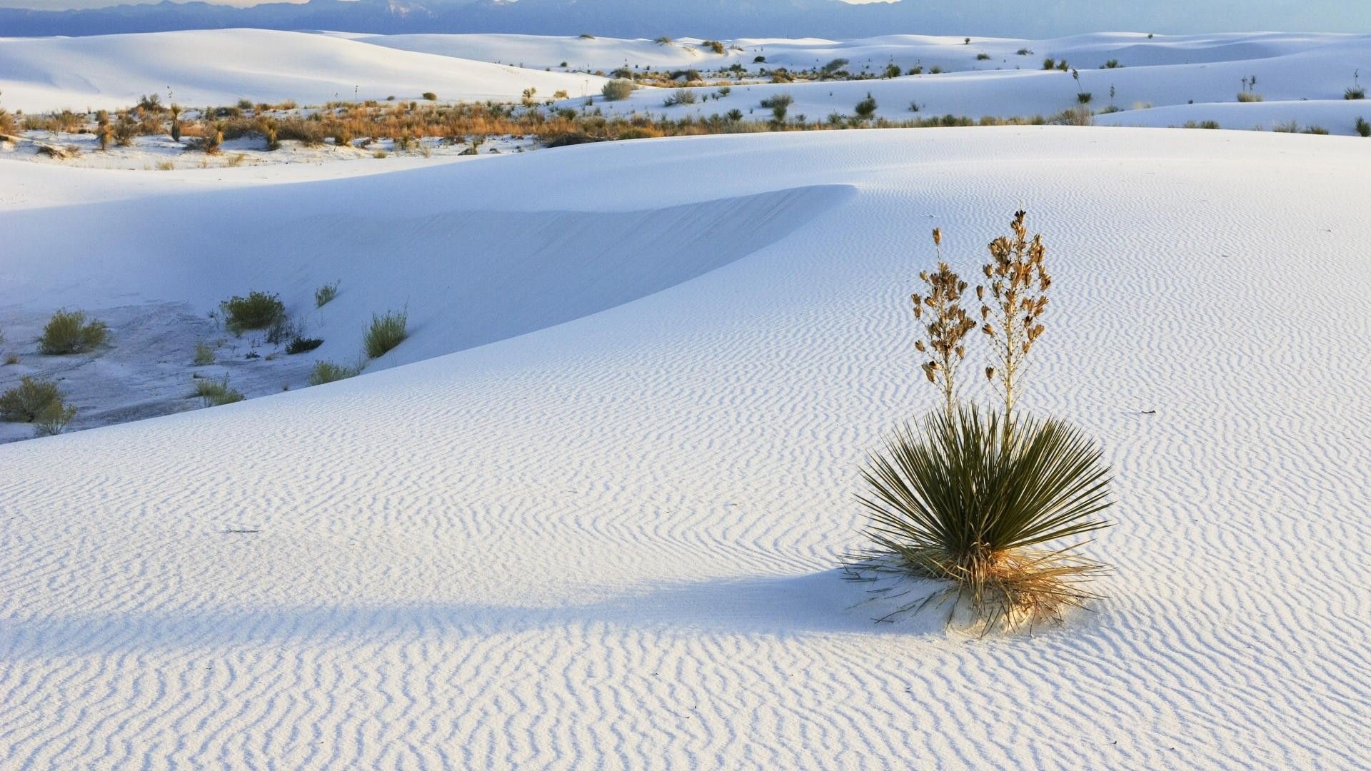 White Sands New Mexico, Gypsum dunes, White sand desert, Natural wonder, 1920x1080 Full HD Desktop