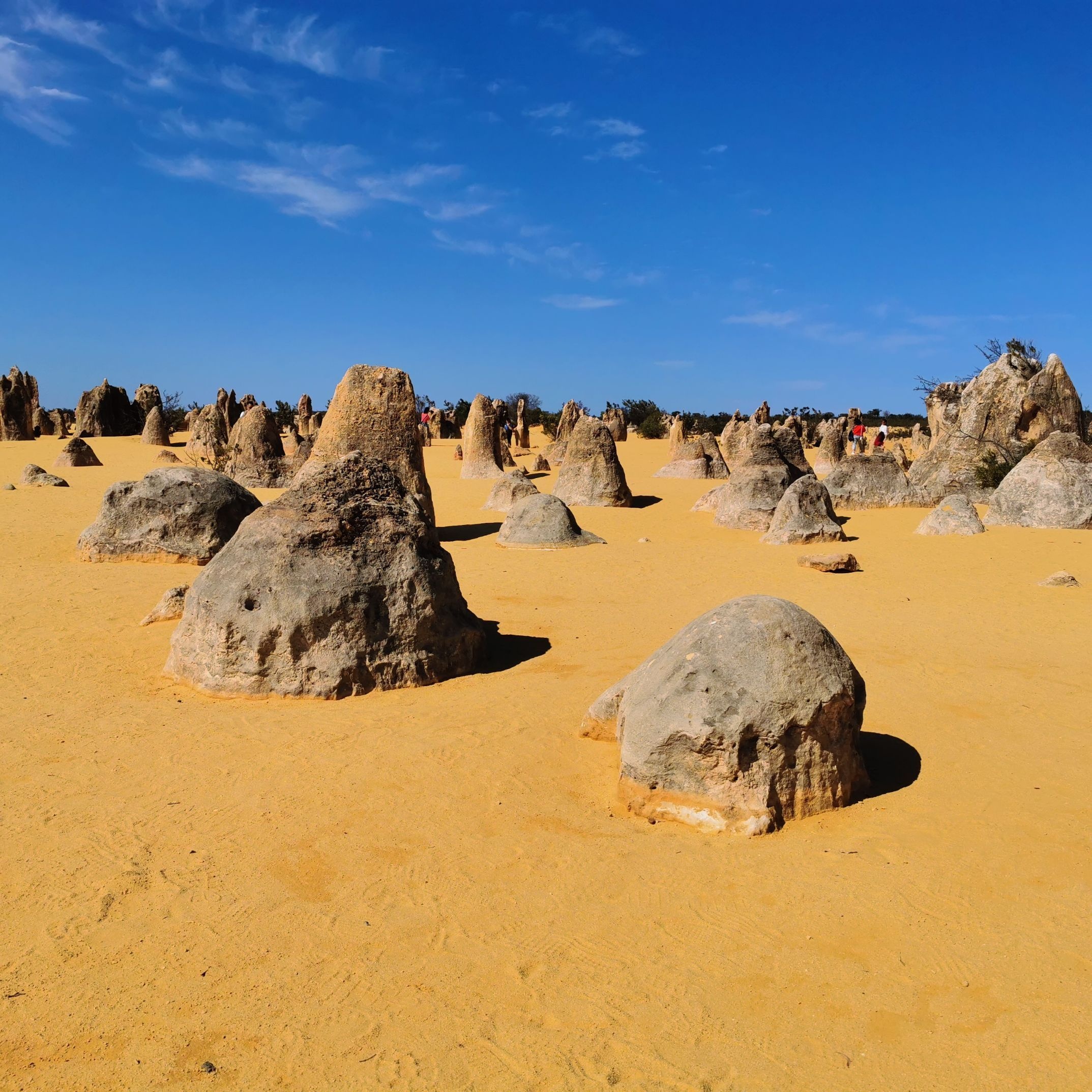 Nambung National Park, Enigmatic landscapes, Otherworldly rock formations, Nature's artistry, 2150x2150 HD Handy