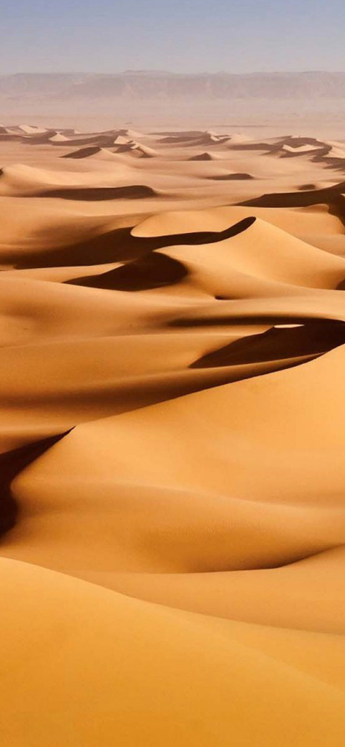 Desert: Sand dunes are accumulations of windblown sand piled up in mounds or ridges. 1130x2440 HD Background.
