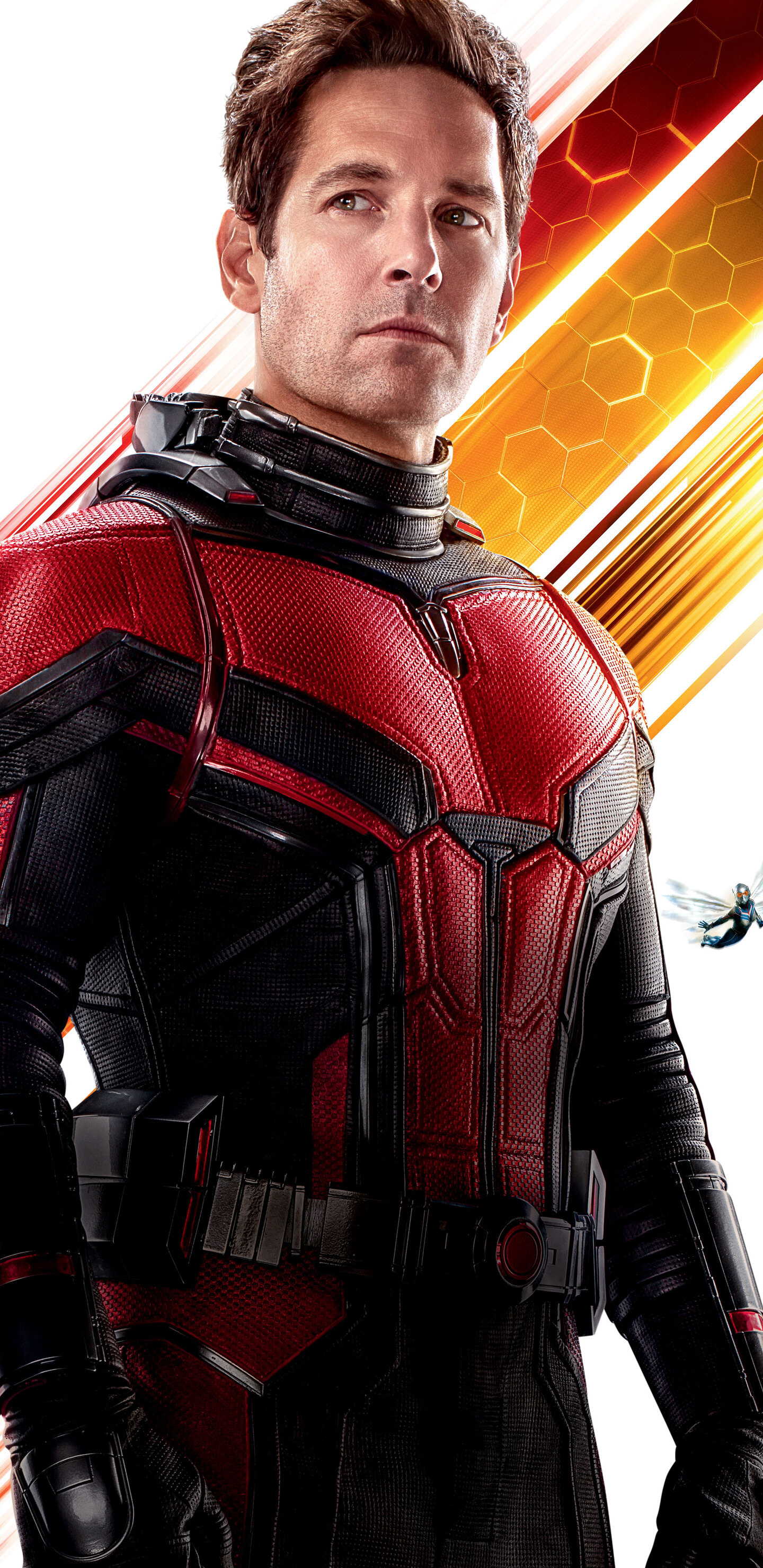 Paul Rudd: Went on to portray Ant-Man In Ant-Man And The Wasp (2018). 1440x2960 HD Wallpaper.