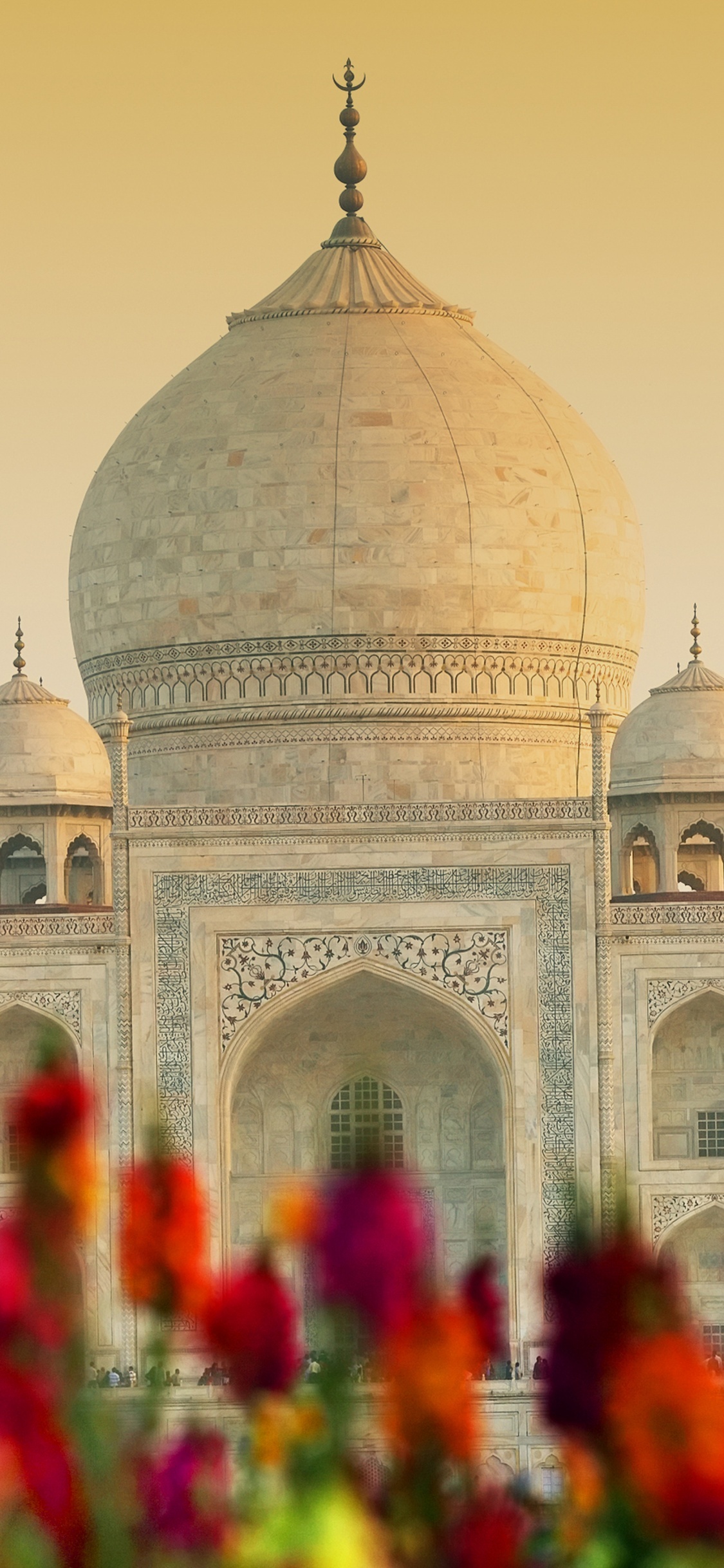 Taj Mahal wallpaper 4k, Agra, India, UNESCO World Heritage site, 1130x2440 HD Phone