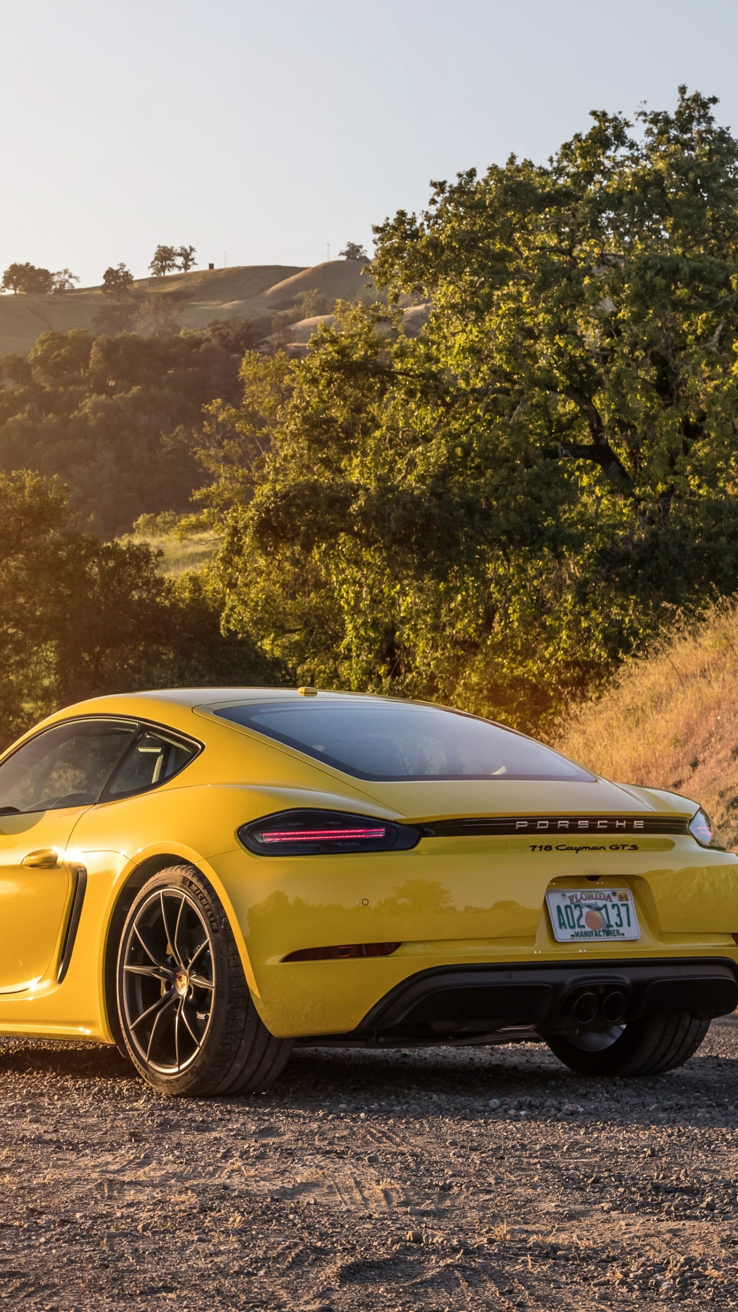 Porsche 718, Cayman GTS, 2019 cars wallpaper, Speed and elegance, 1440x2560 HD Phone