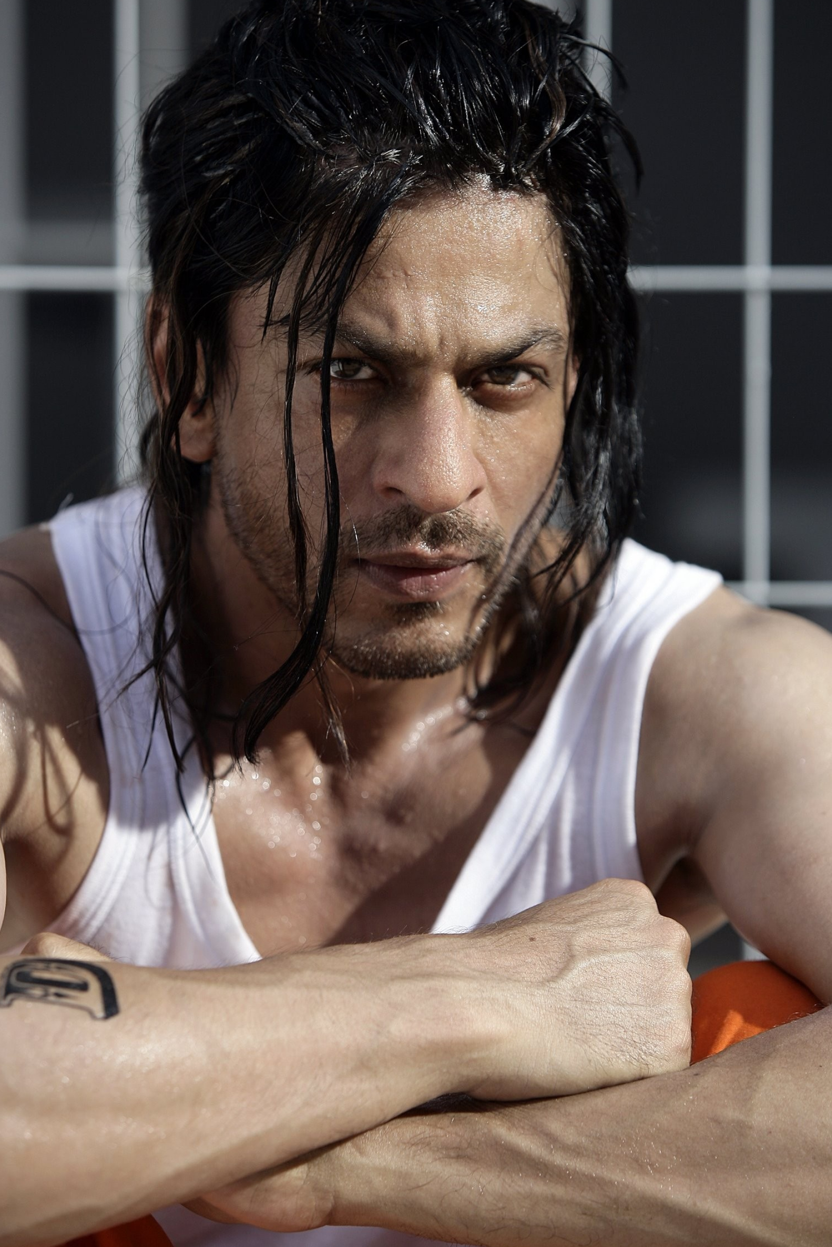 Shah Rukh Khan, Don 2 film, Sharukh Khan photo, Fanpop tribute, 1670x2500 HD Phone