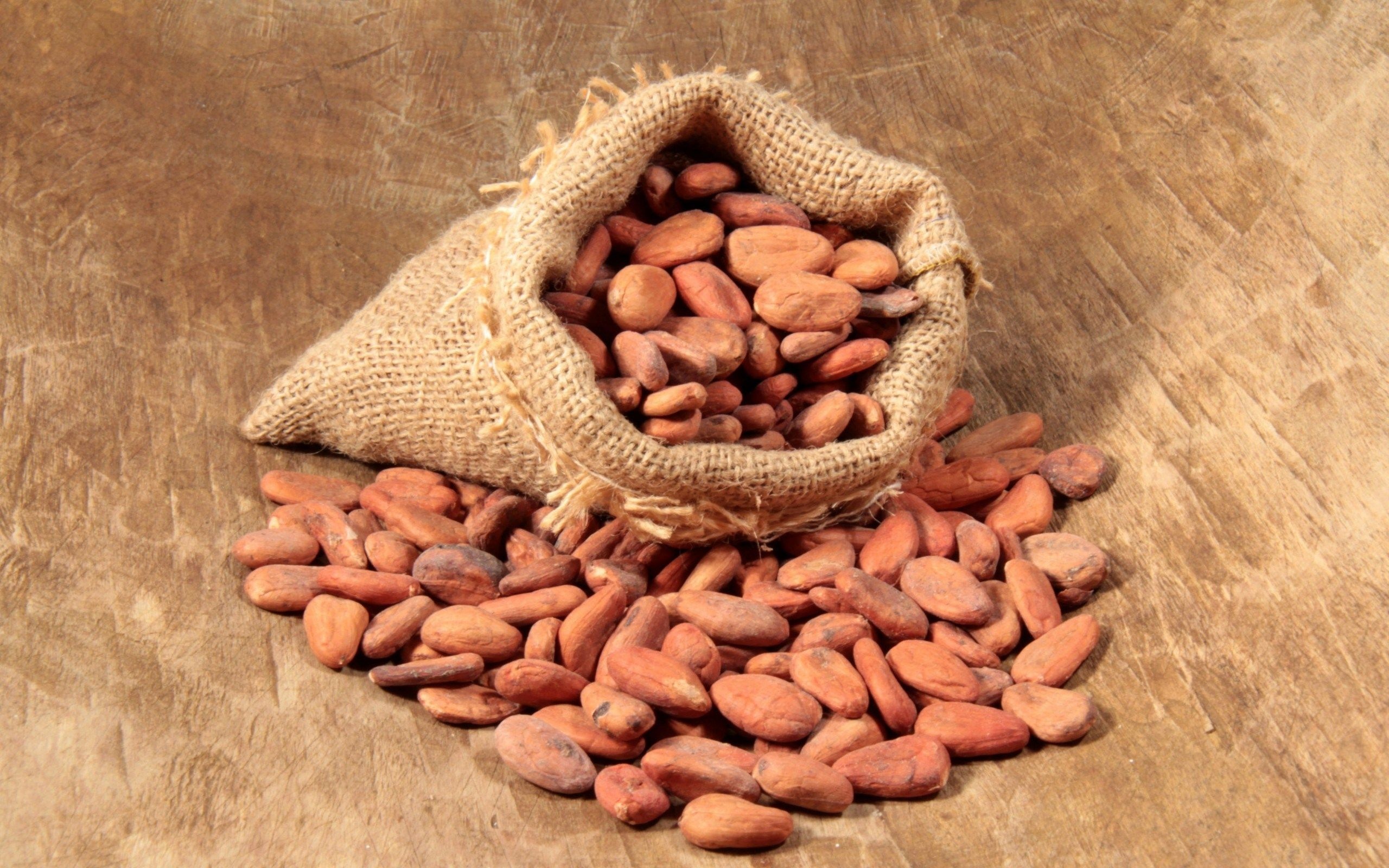 Seeds: Cocoa bean, Native to the Amazon rainforest, The basis of chocolate. 2560x1600 HD Wallpaper.