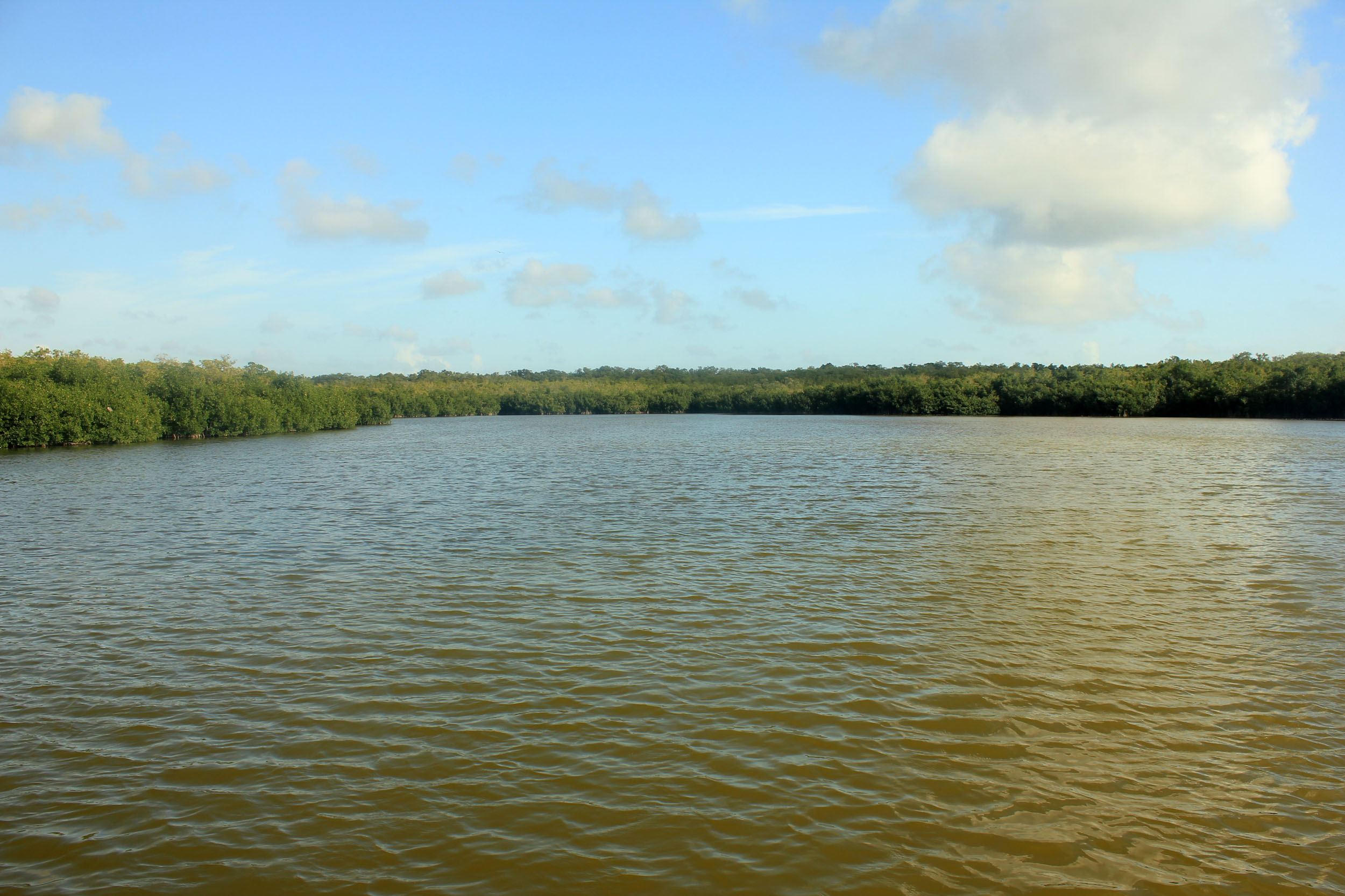 Glades lake, Everglades National Park, Florida, Serene water body, 2500x1670 HD Desktop