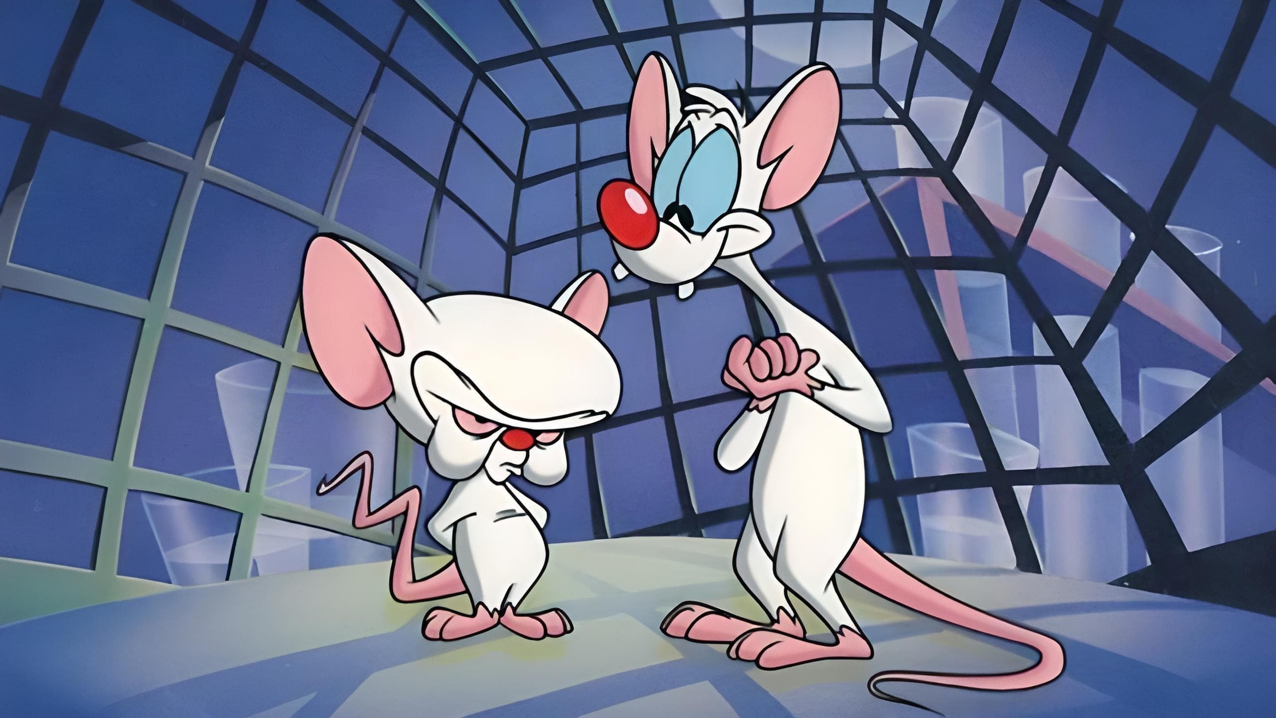 Pinky and the Brain TV Series 1995-1998 - Backdrops The Movie Database TMDB 2560x1440