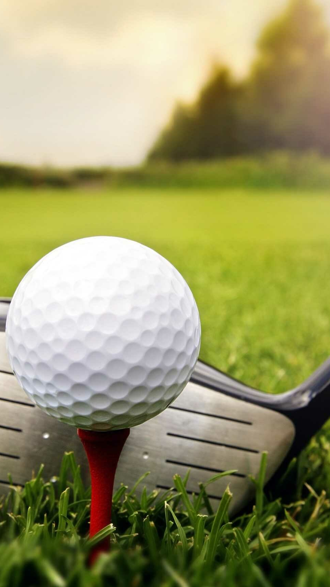 Golf: A club and ball sport, Players hit a small ball into a series of holes on a course. 1080x1920 Full HD Background.