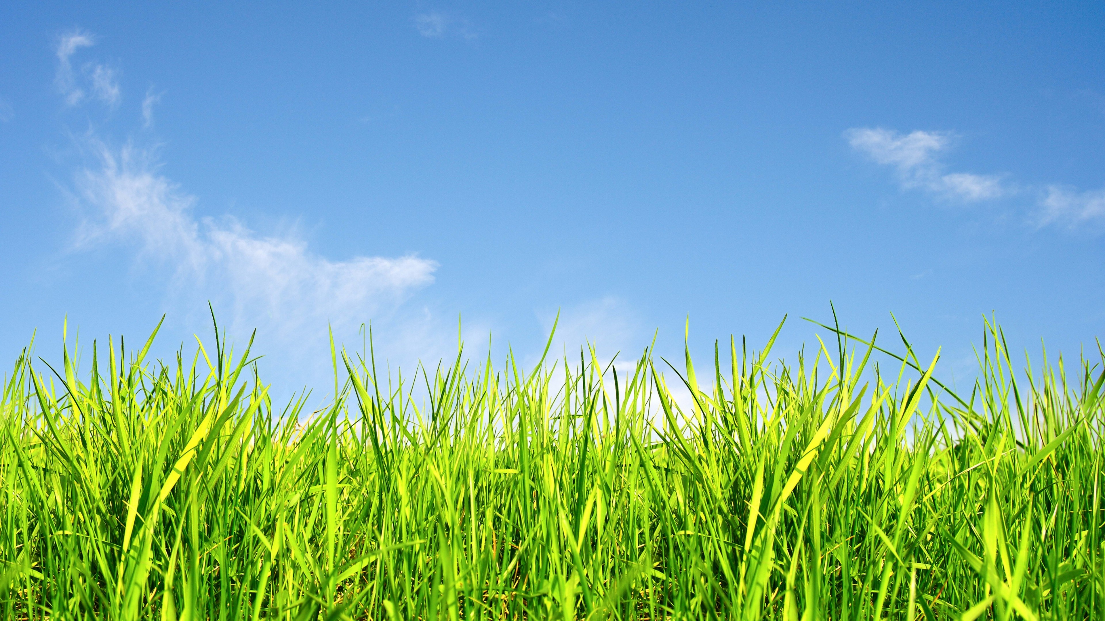 Grass and sky, Serene landscape, Nature's canvas, Peaceful ambiance, 3840x2160 4K Desktop