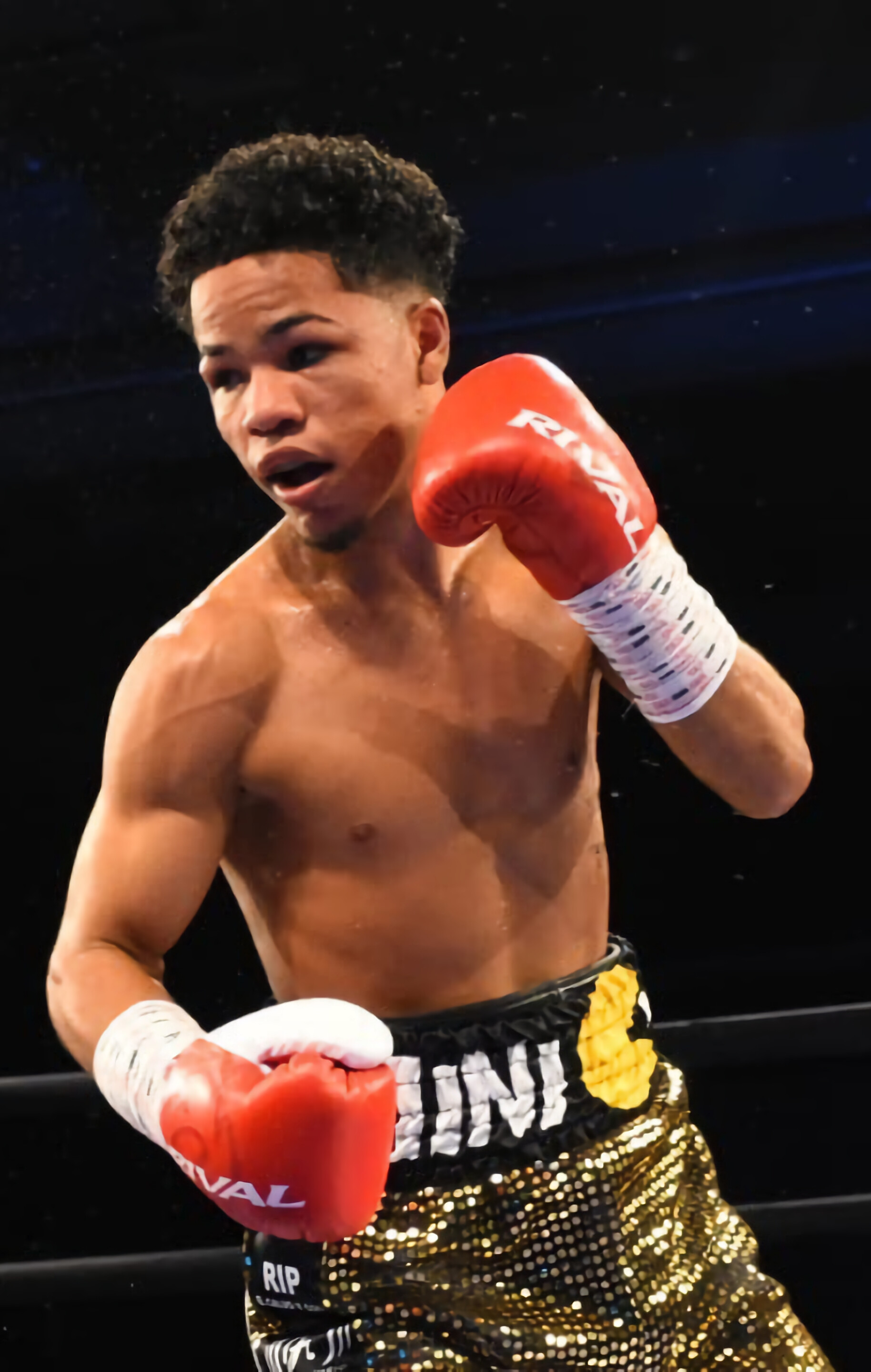 Erick Rosa, Boxing style, Precision punches, Champion mindset, 1830x2880 HD Phone