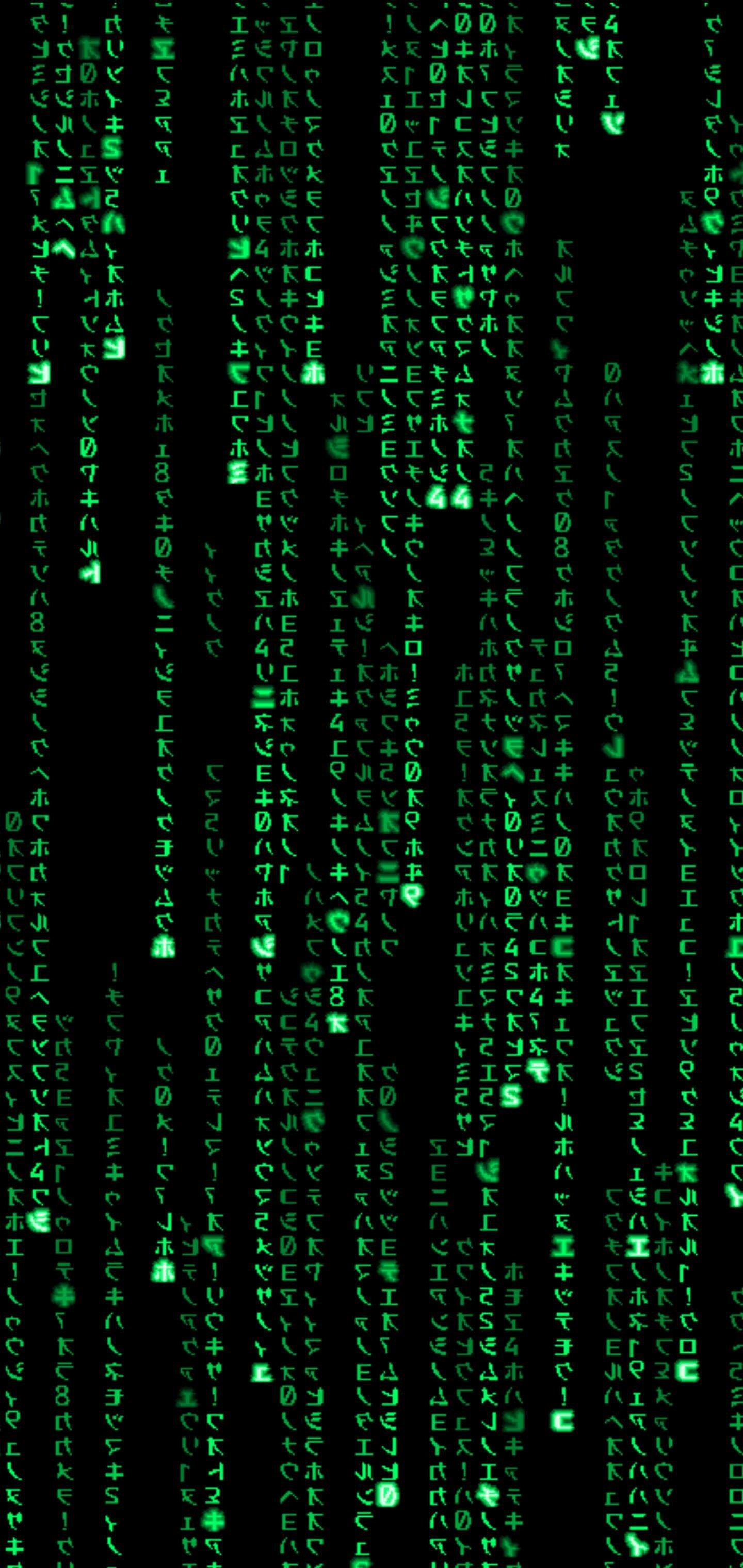 Matrix Franchise: Digital rain, Minimalistic. 1440x3040 HD Wallpaper.