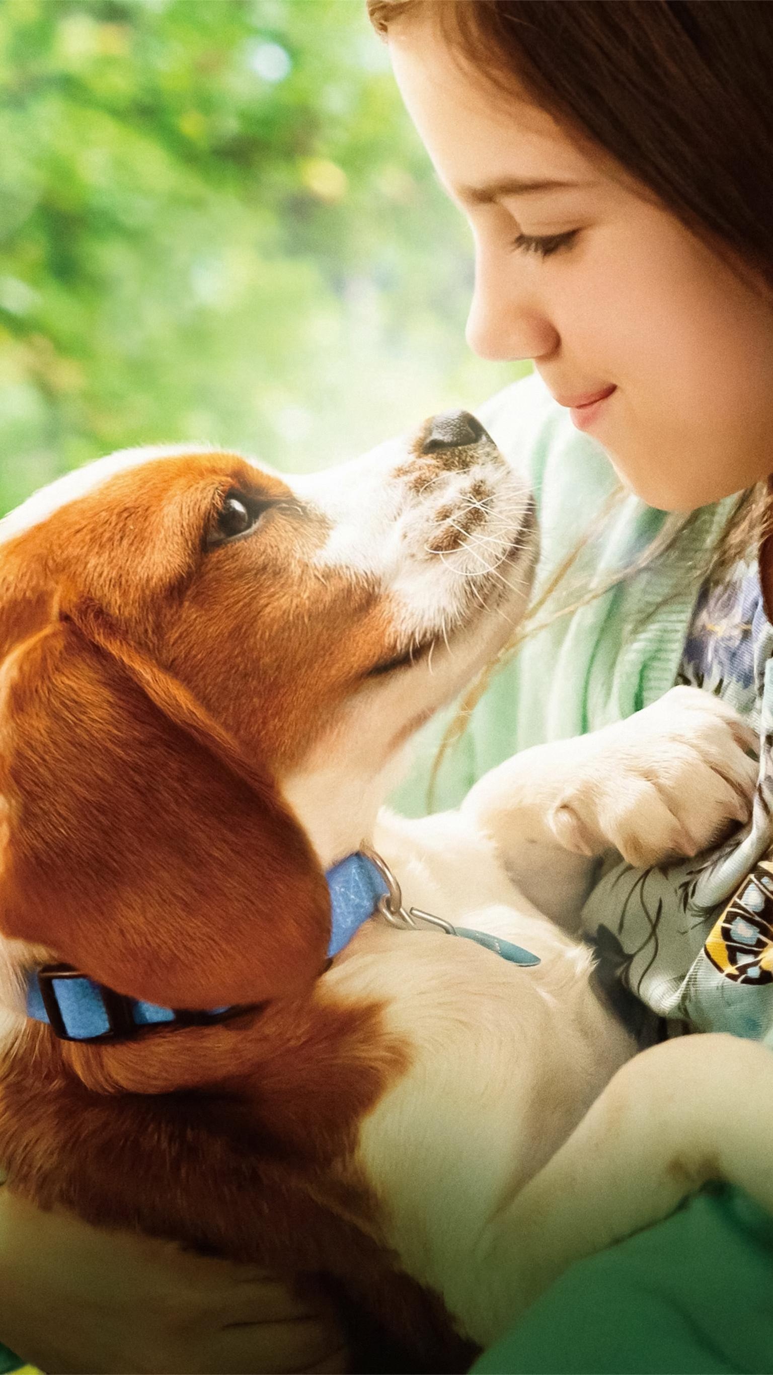 A Dog's Purpose, Top free, Backgrounds, Beloved pets, 1540x2740 HD Phone