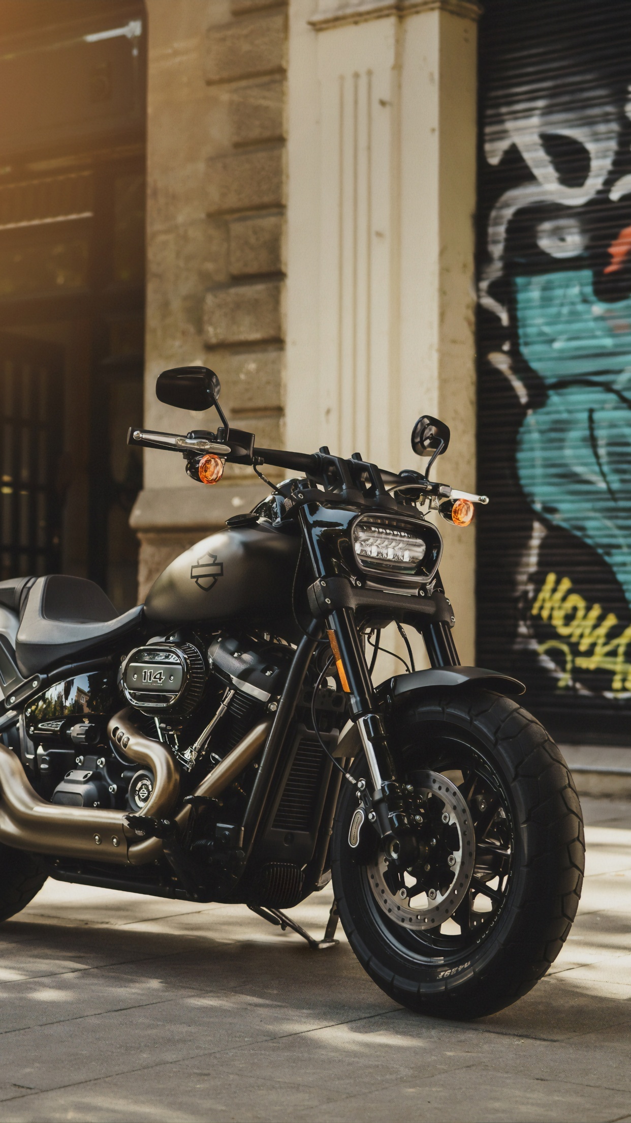Harley-Davidson Fat Bob 114, Striking wallpaper, Grey motorcycle, Sunlight, 1250x2210 HD Phone